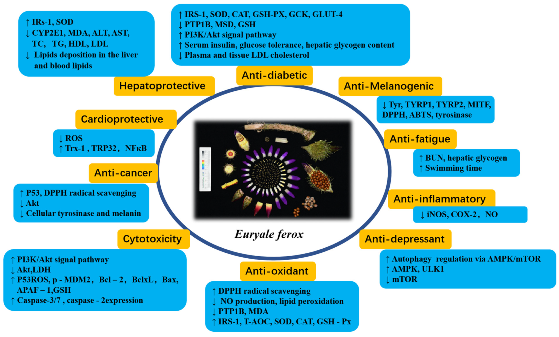 Molecules 28 04399 g010 Molecules 28 04399 g010