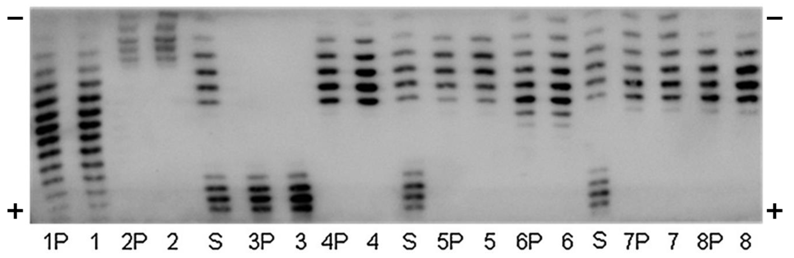 Molecules 28 04446 g002