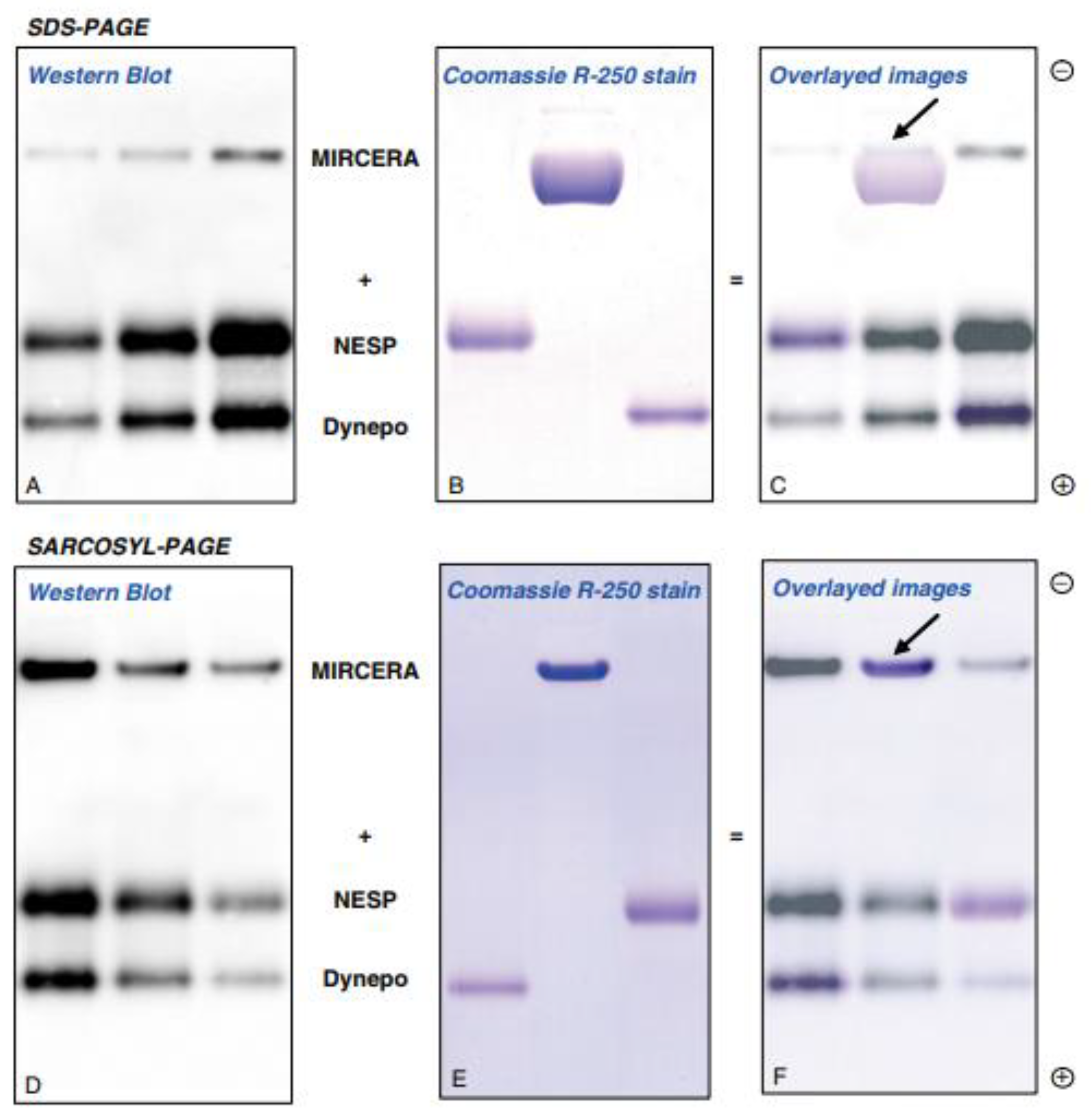 Molecules 28 04446 g003