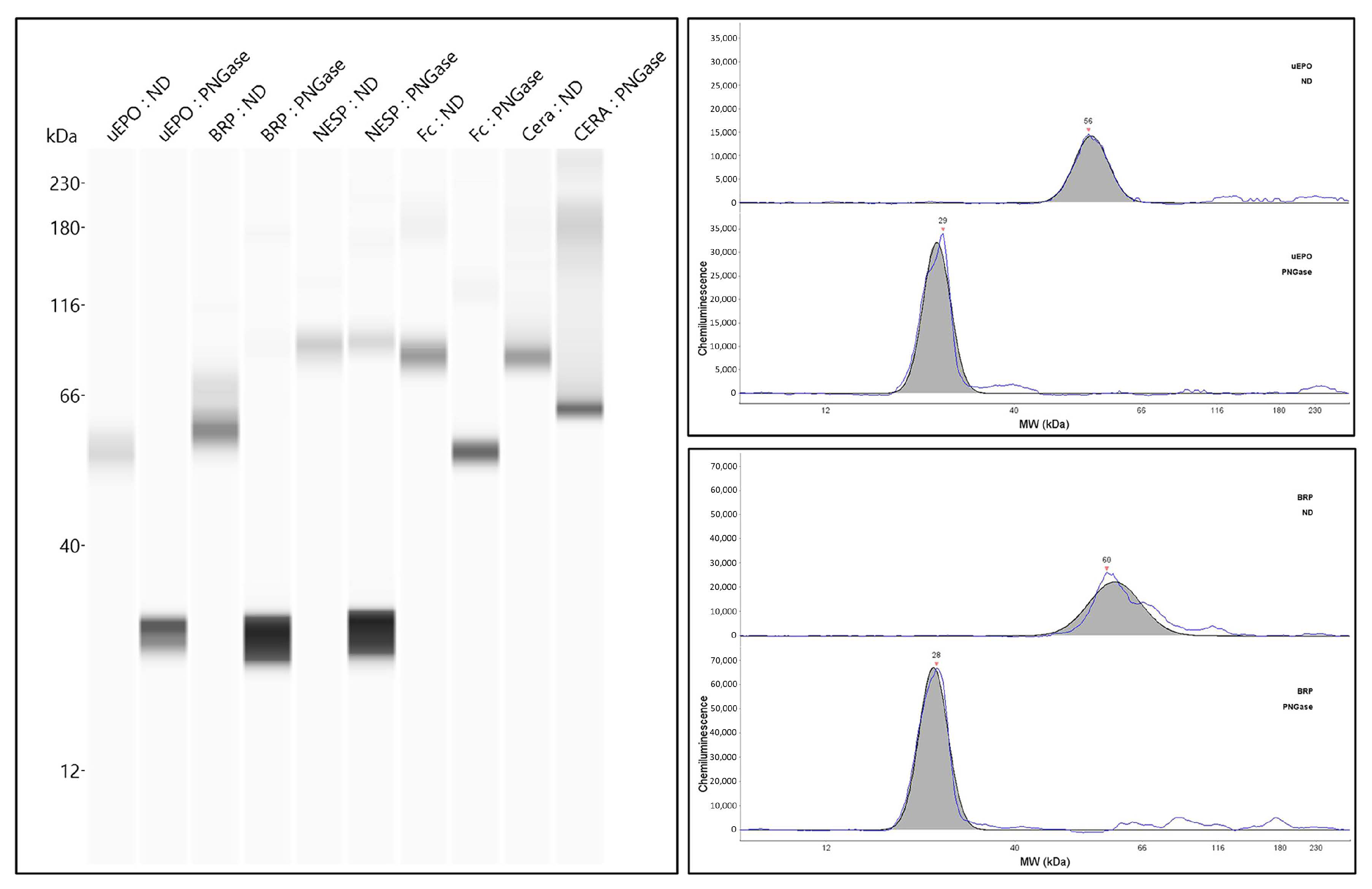 Molecules 28 04446 g004