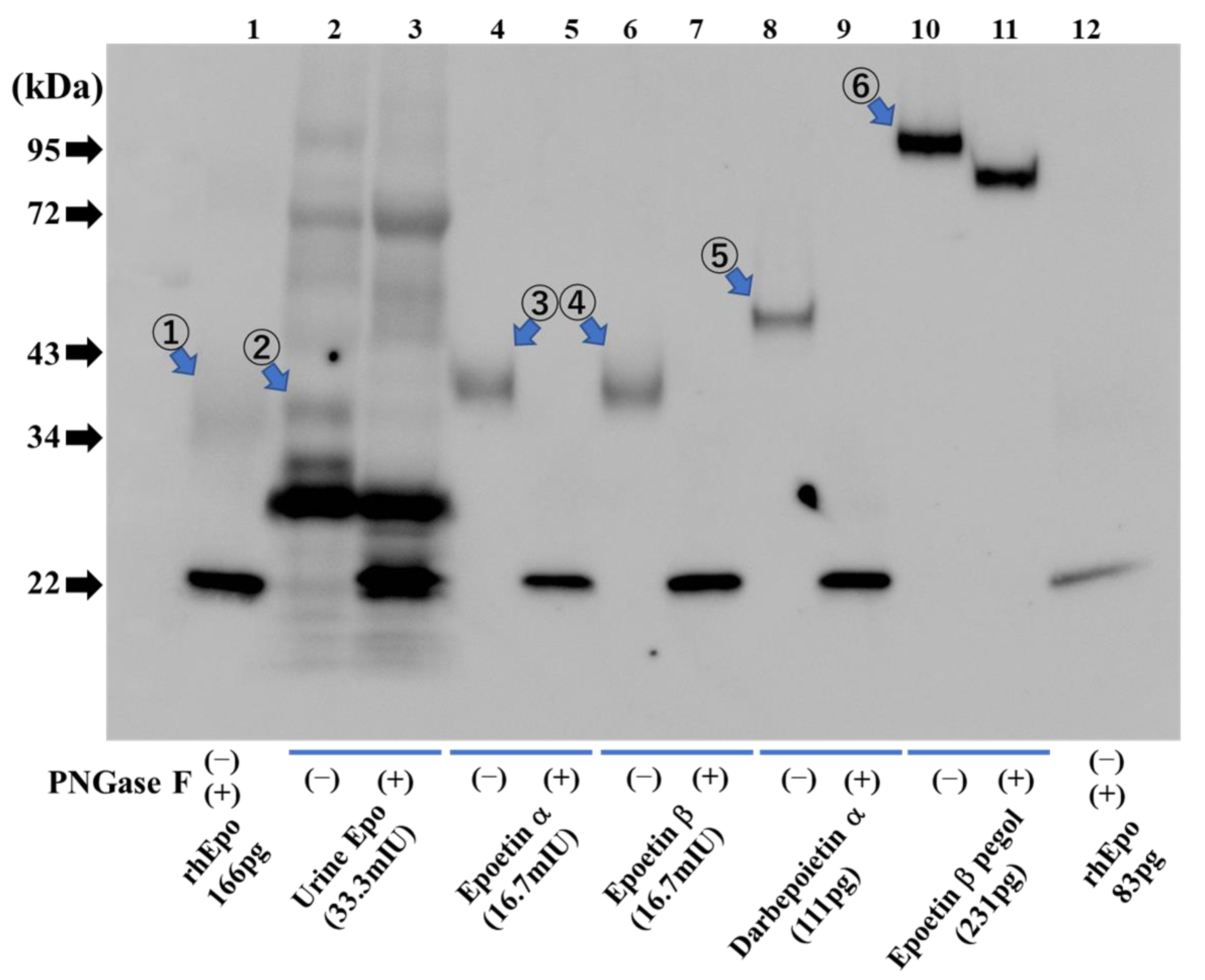 Molecules 28 04446 g005