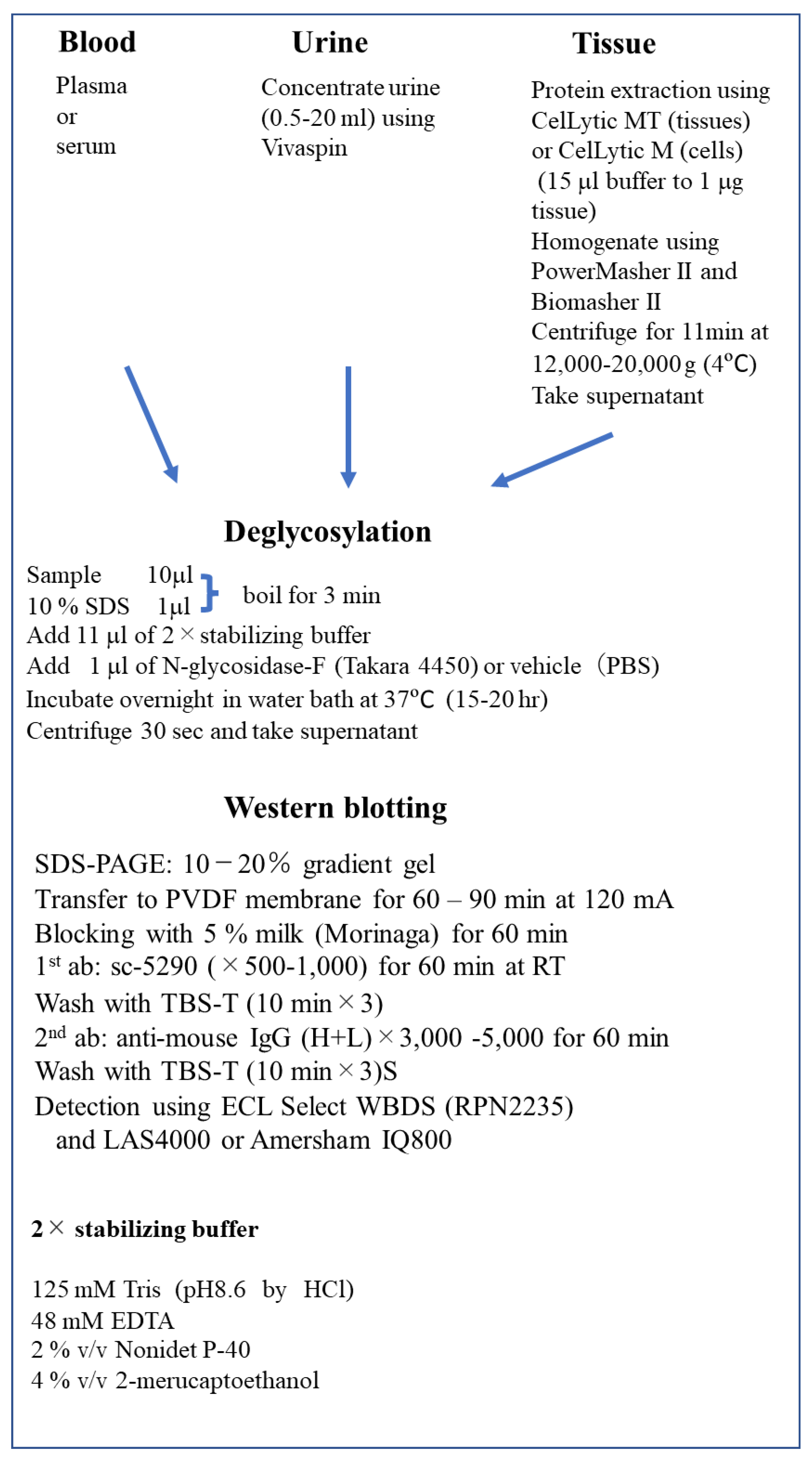 Molecules 28 04446 g007