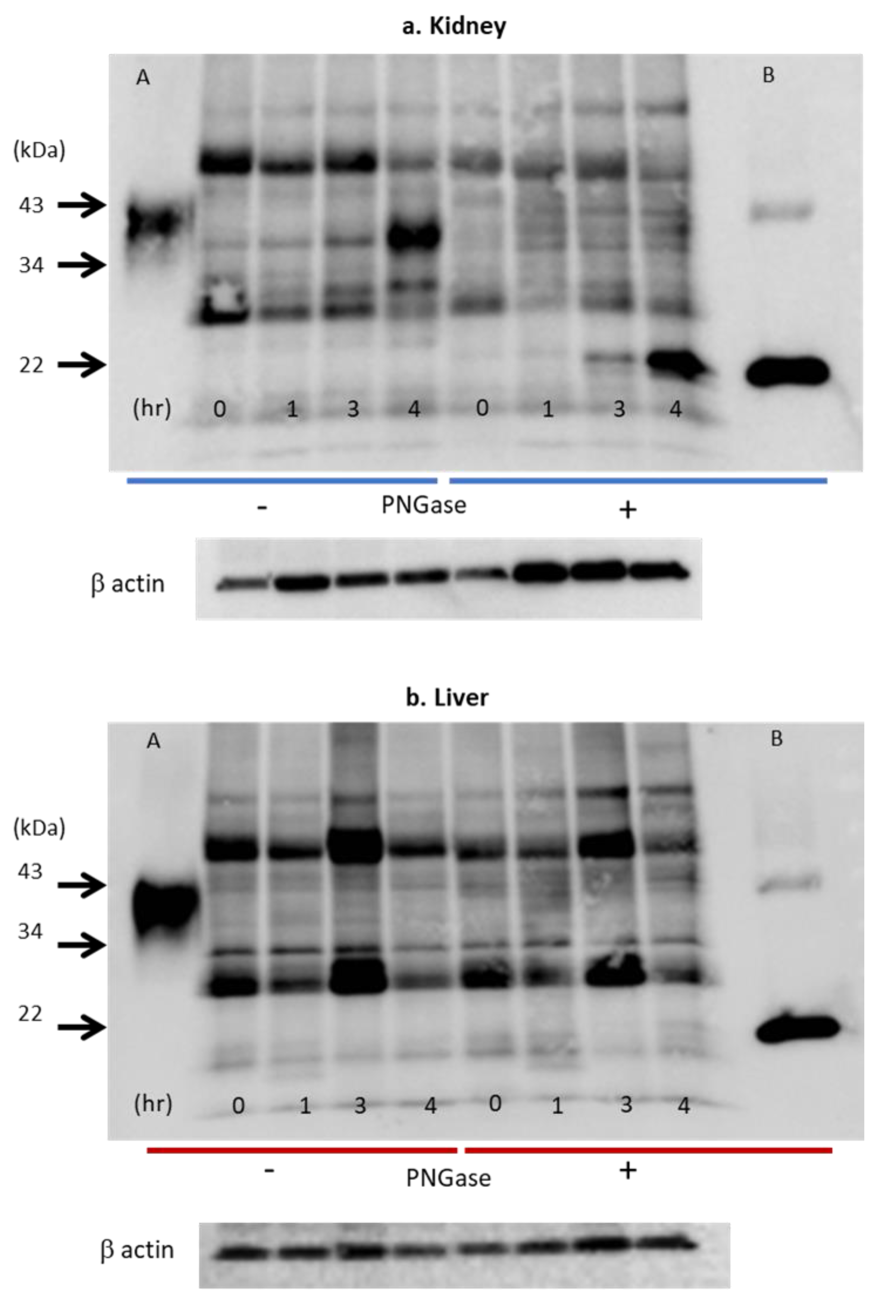 Molecules 28 04446 g009