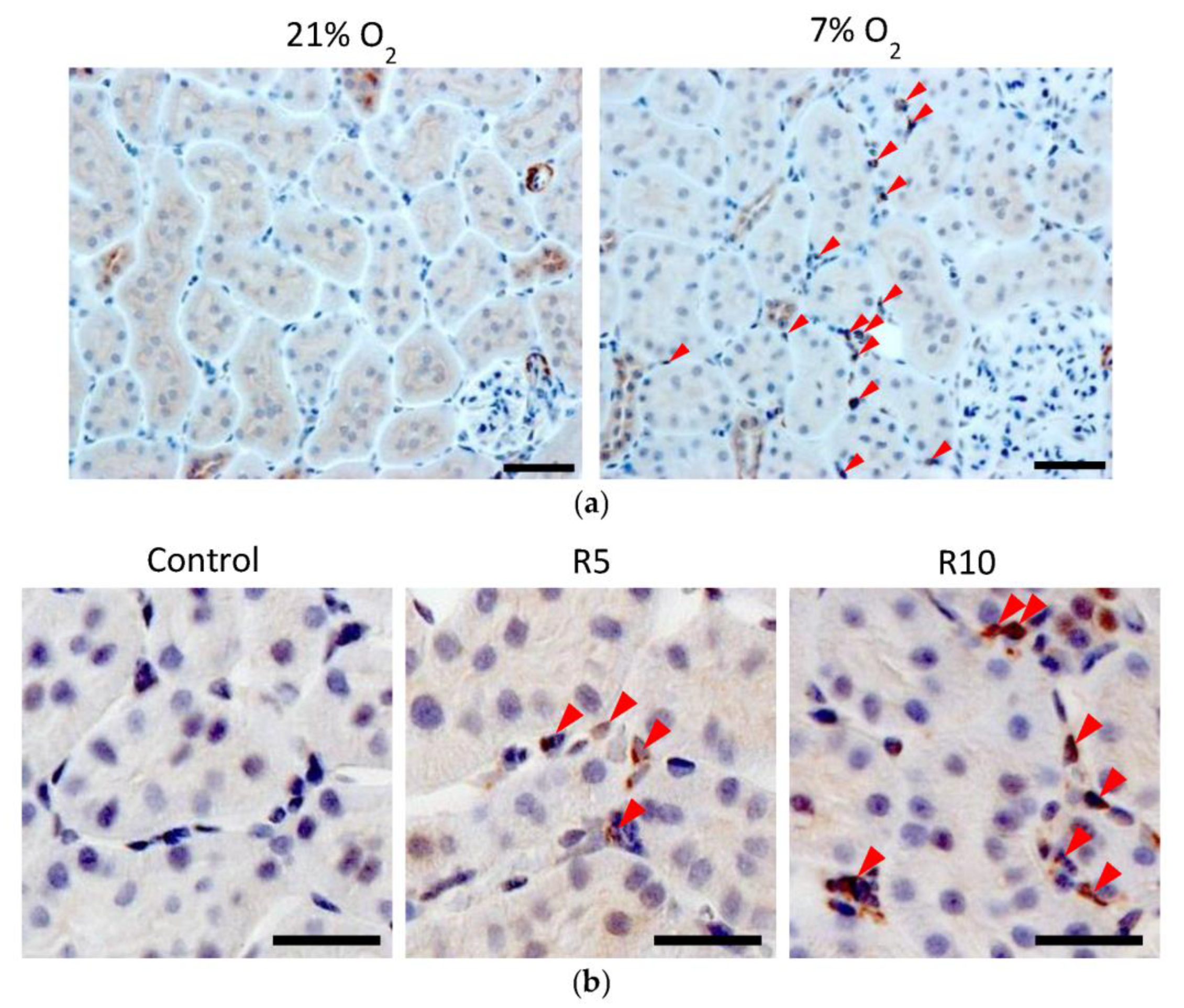 Molecules 28 04446 g010