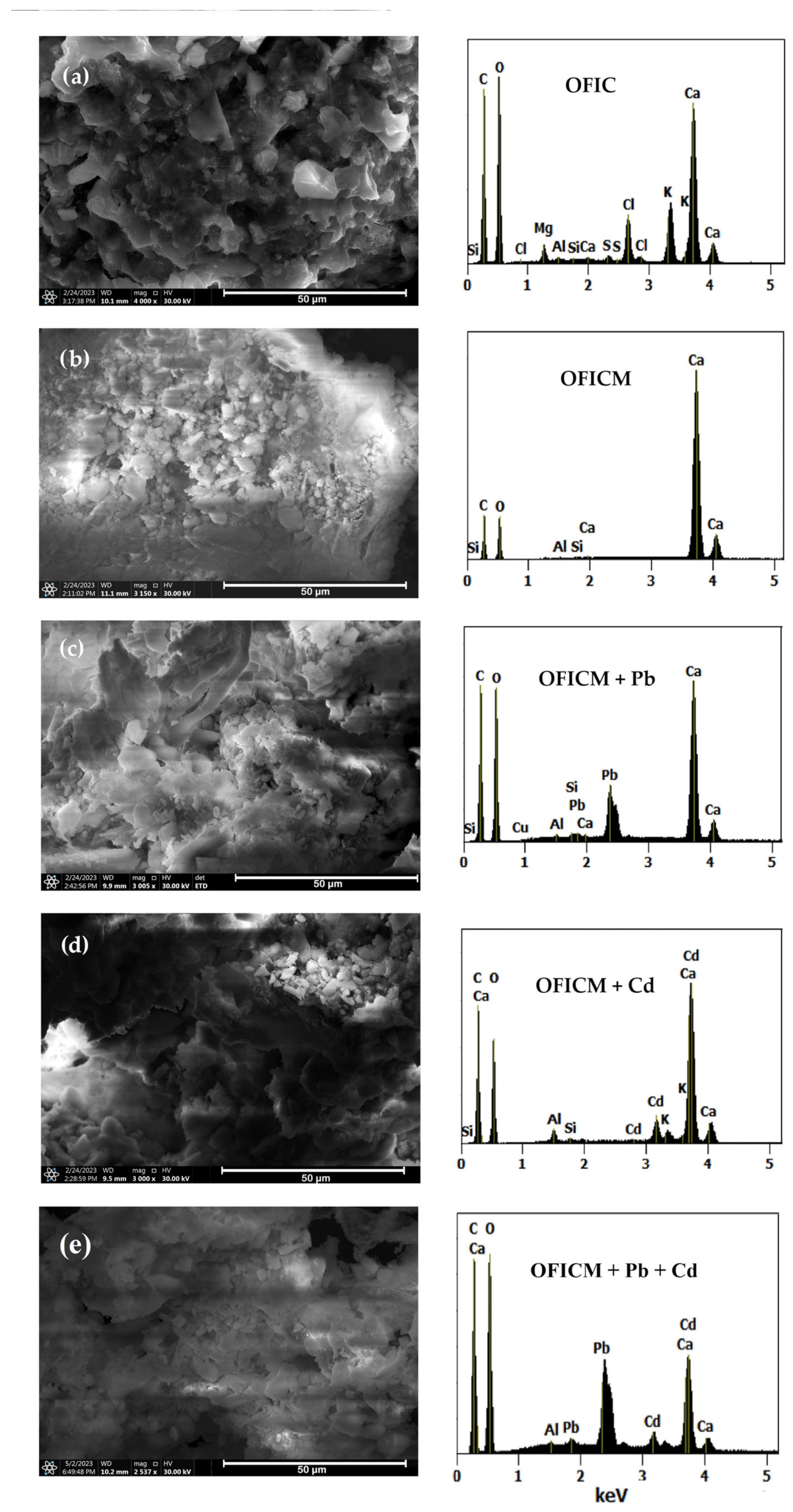 Molecules 28 04451 g004 Molecules 28 04451 g004