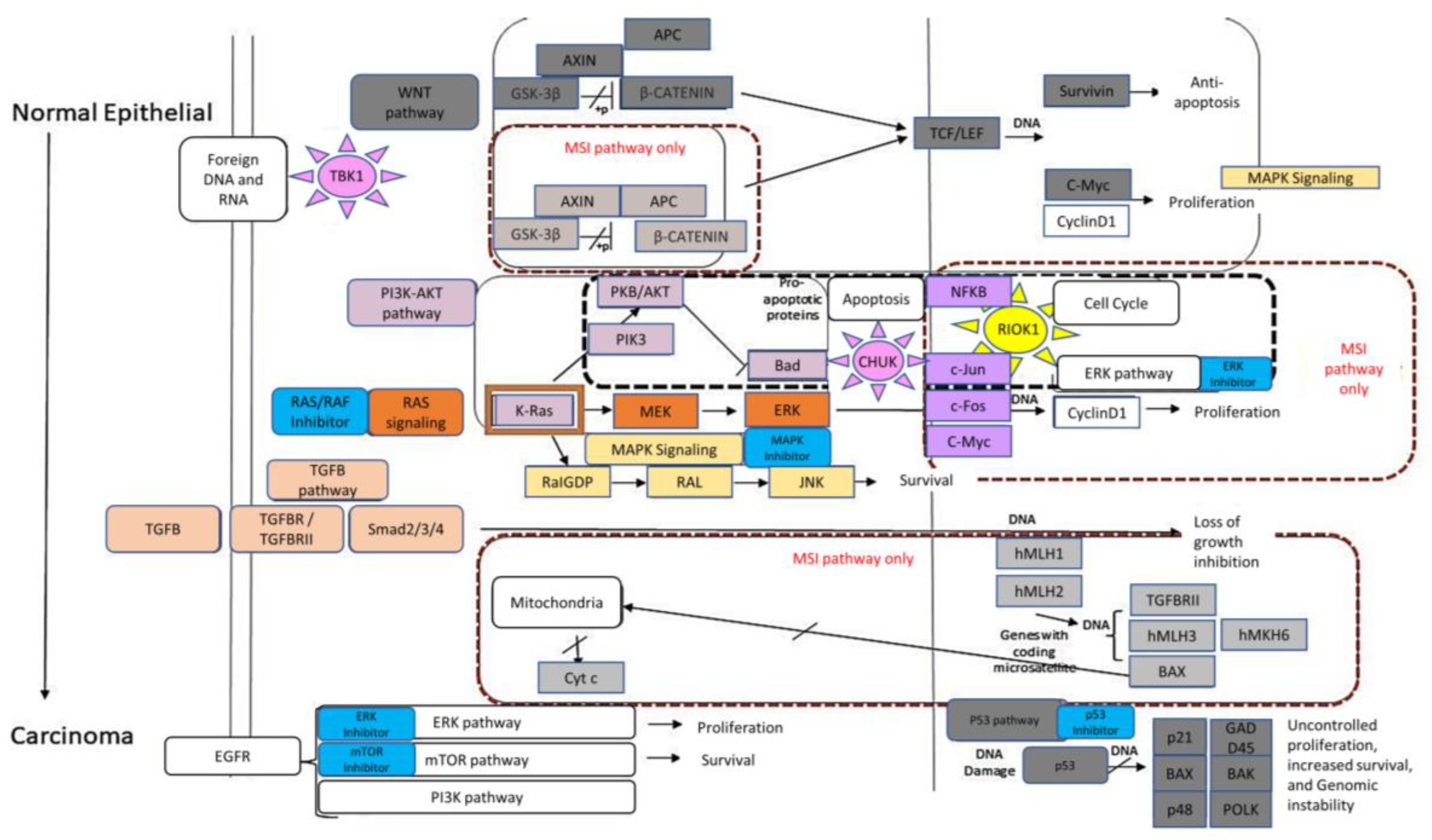 Molecules 28 04452 g004