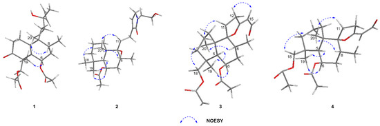 Molecules | Free Full-Text | Zeylleucapenoids A–D, Highly Oxygenated ...