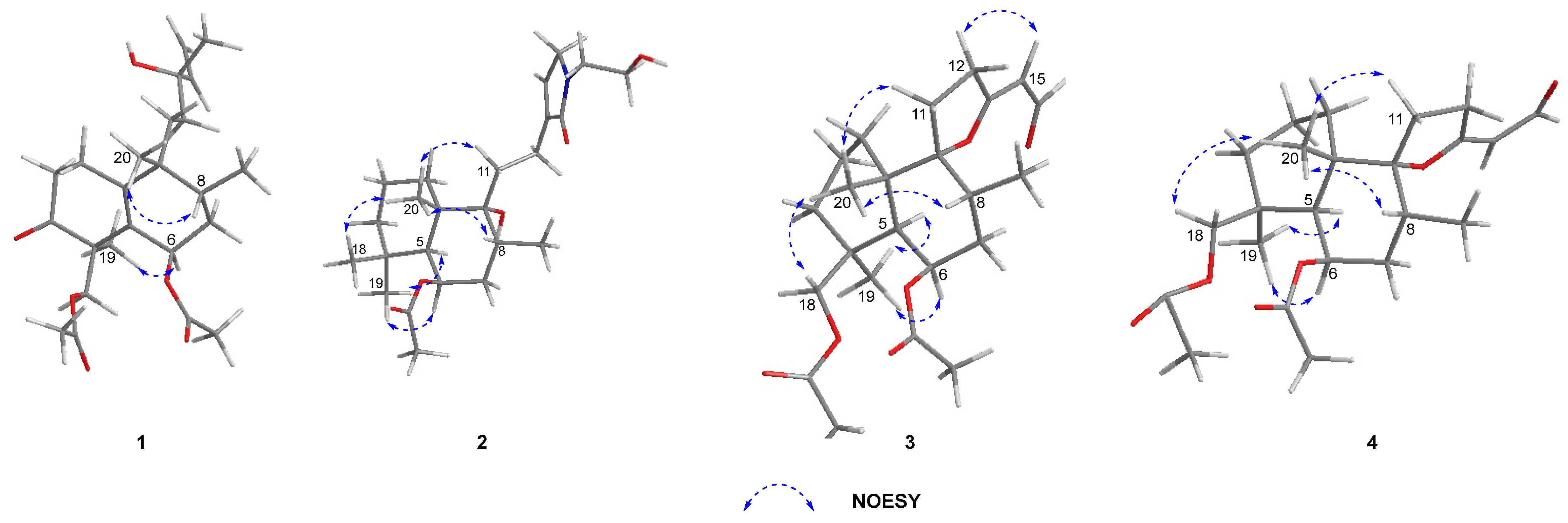 Molecules 28 04472 g003 Molecules 28 04472 g003