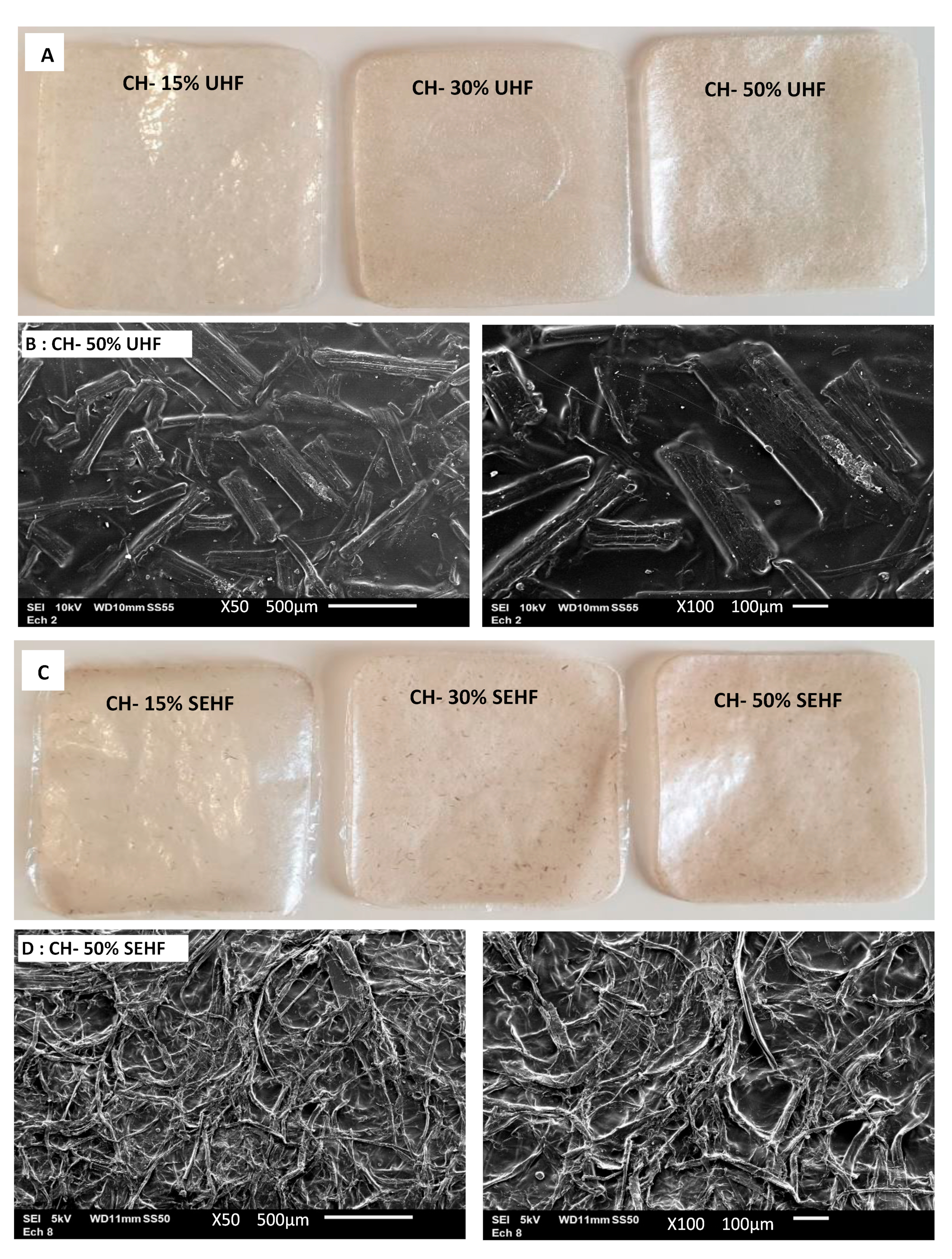Molecules 28 04488 g001 Molecules 28 04488 g001