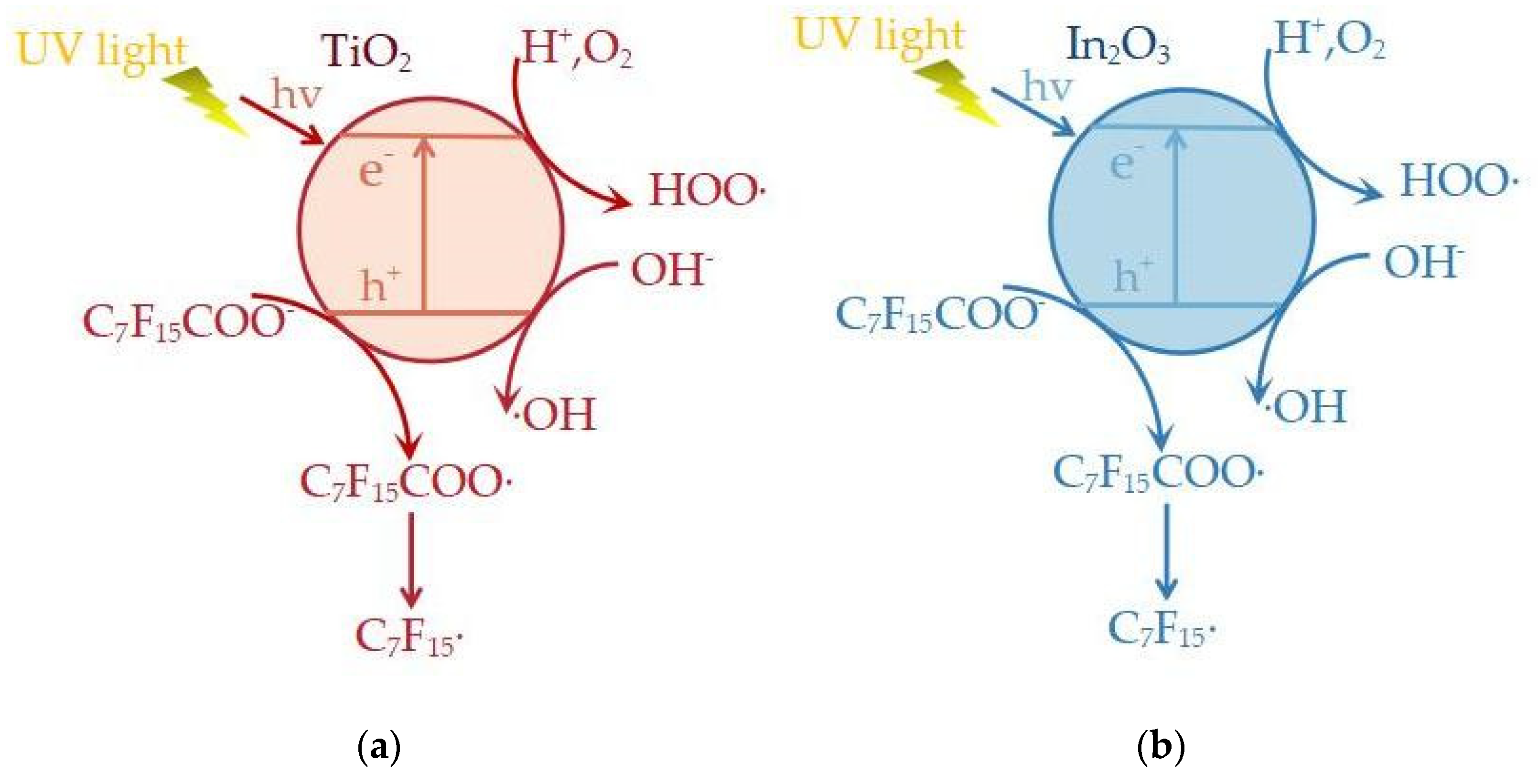 Molecules 28 04489 g003 Molecules 28 04489 g003
