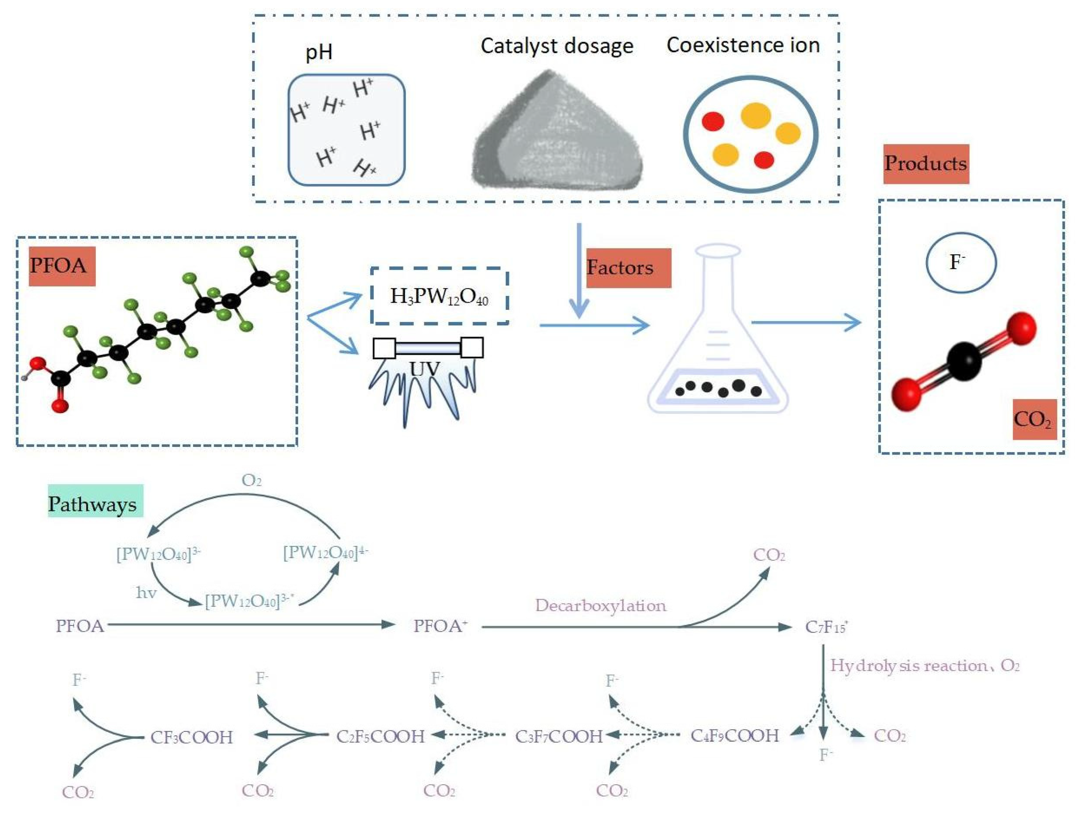 Molecules 28 04489 g005 Molecules 28 04489 g005