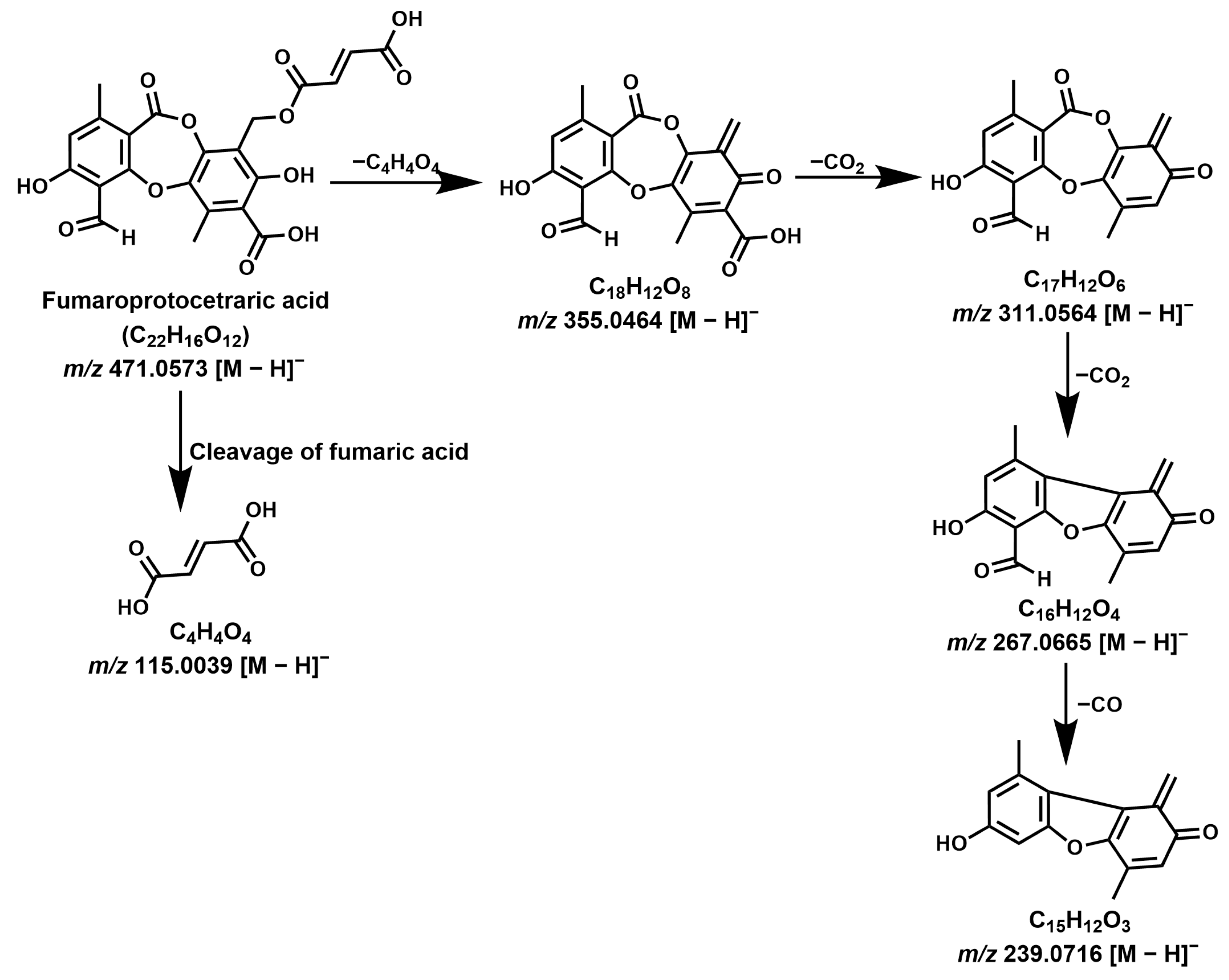 Molecules 28 04493 g008 Molecules 28 04493 g008
