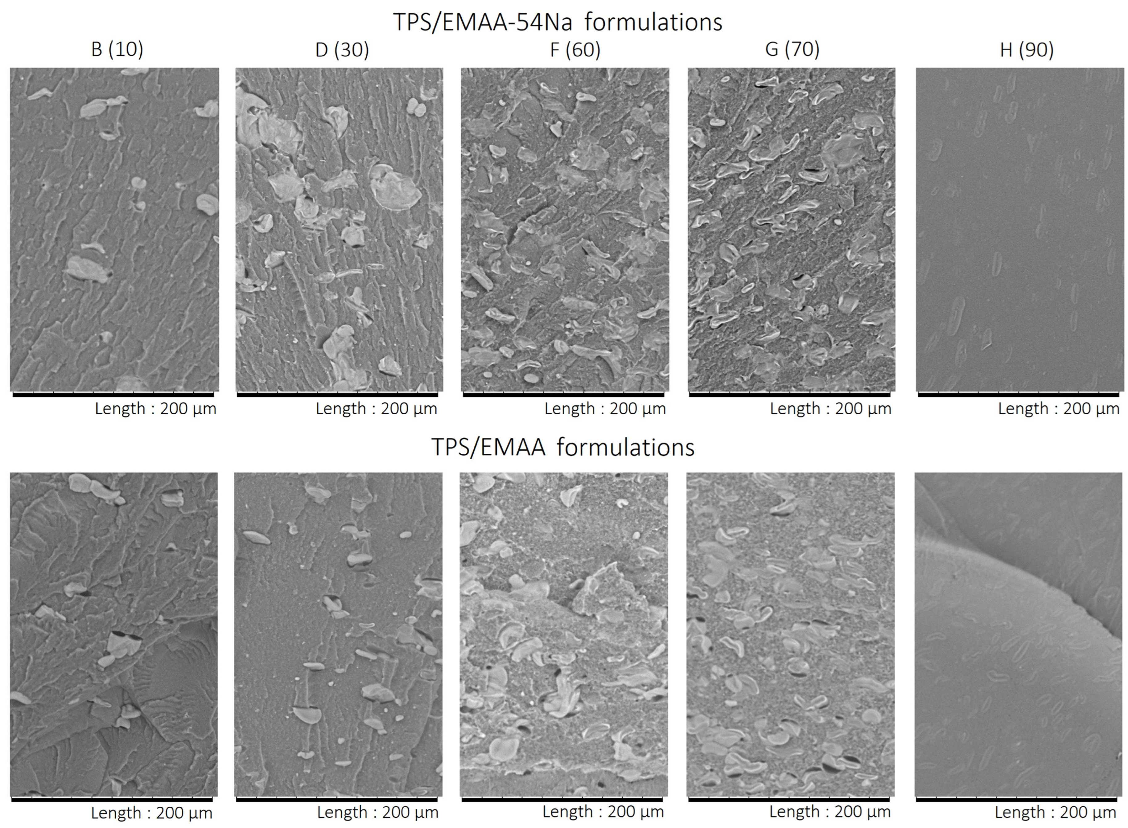 Molecules 28 04519 g007 Molecules 28 04519 g007