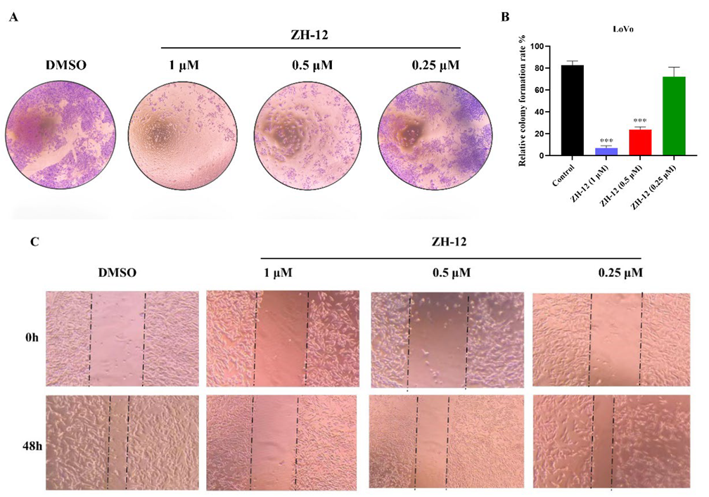 Molecules 28 04521 g004