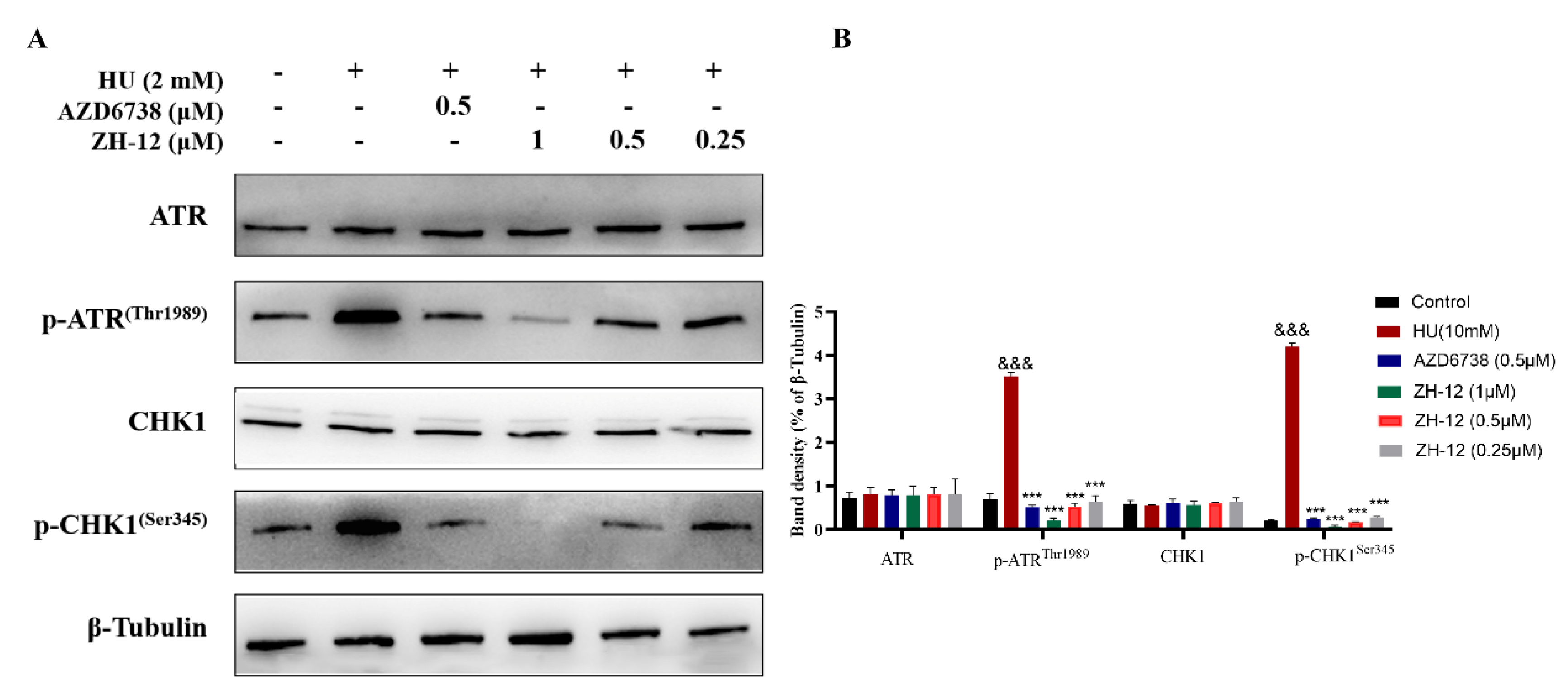 Molecules 28 04521 g007