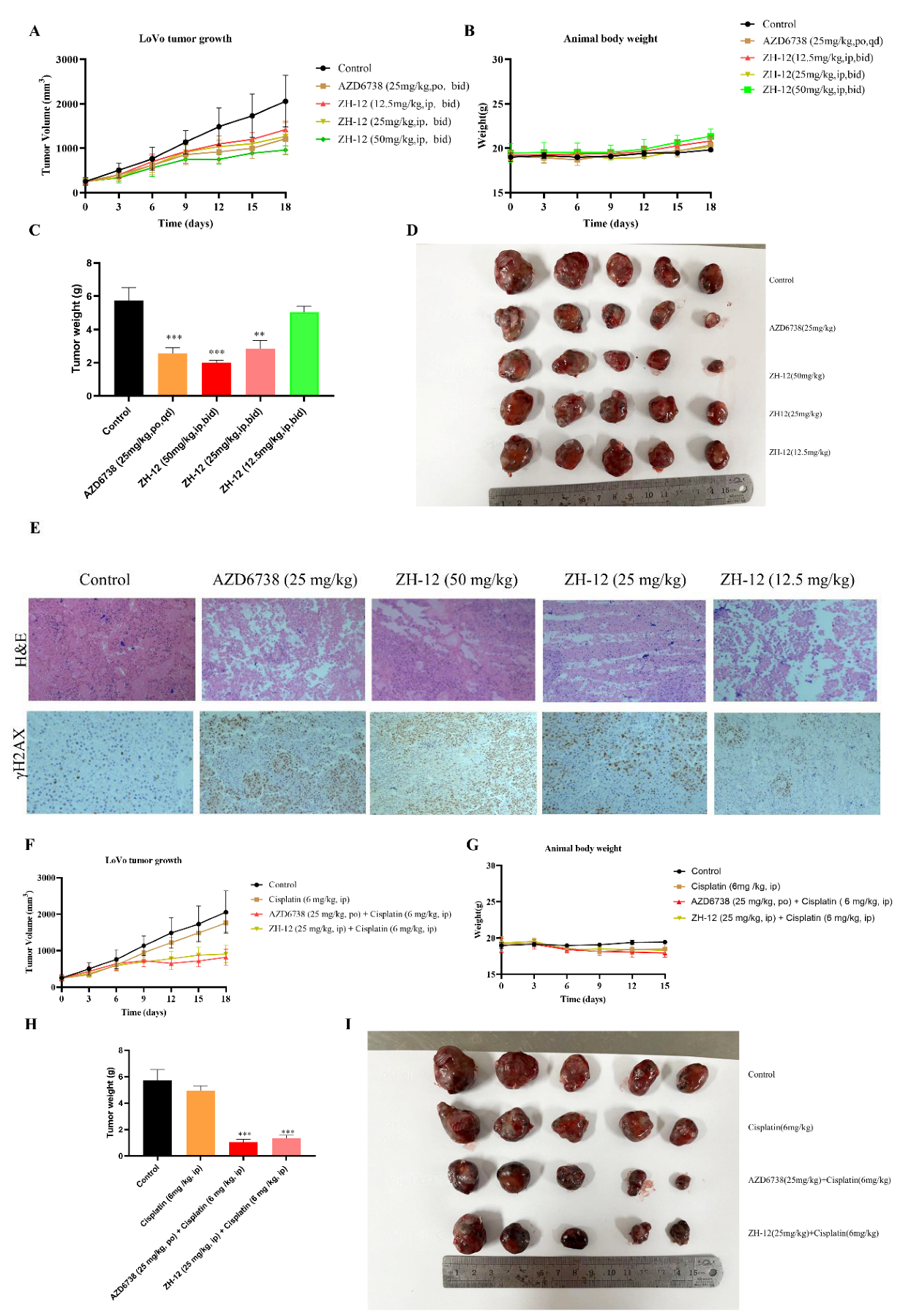 Molecules 28 04521 g008