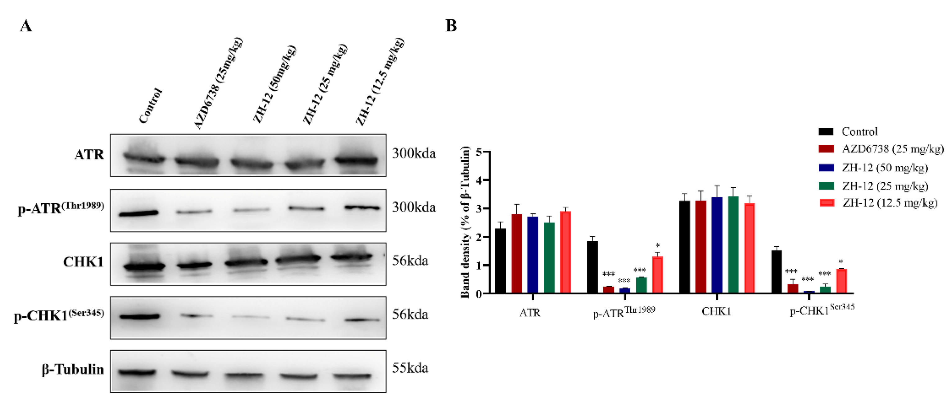 Molecules 28 04521 g009