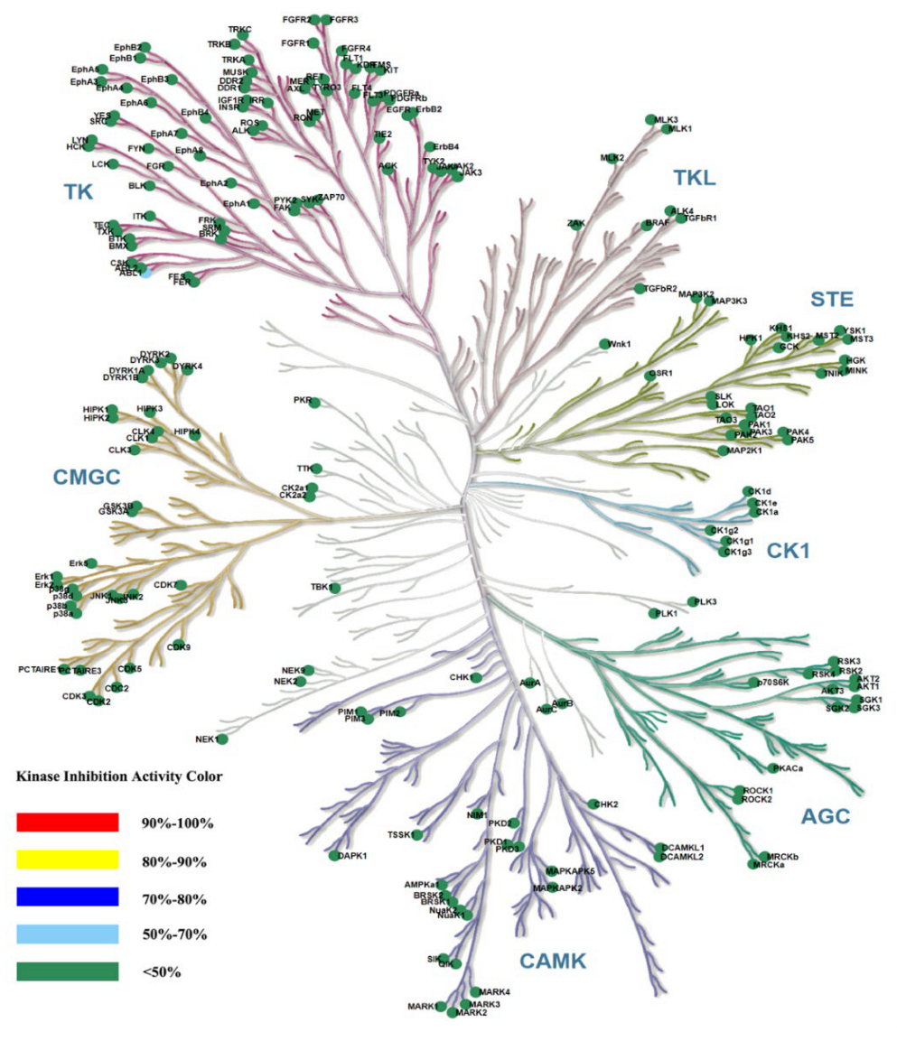 Molecules 28 04521 g010