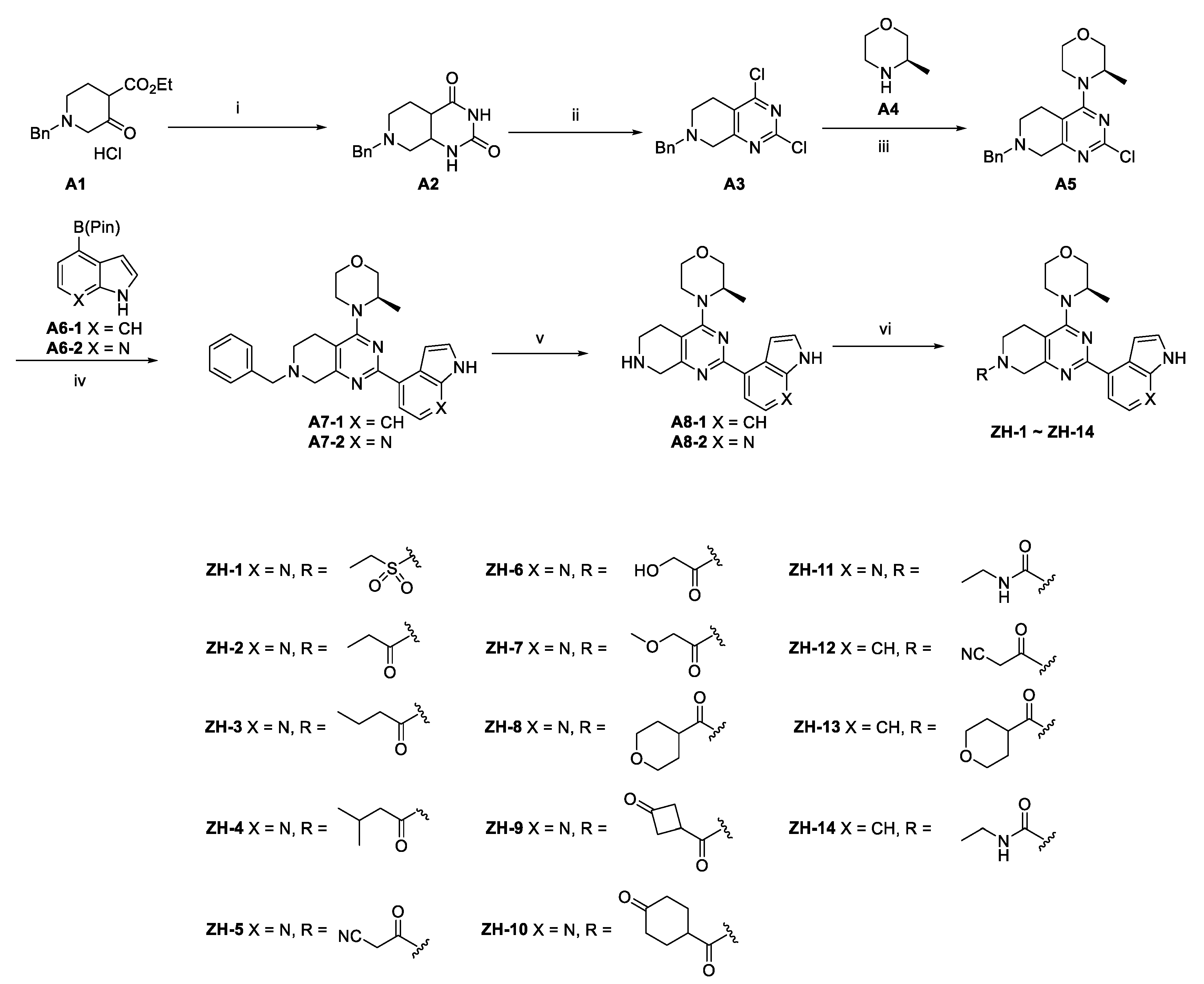Molecules 28 04521 sch001