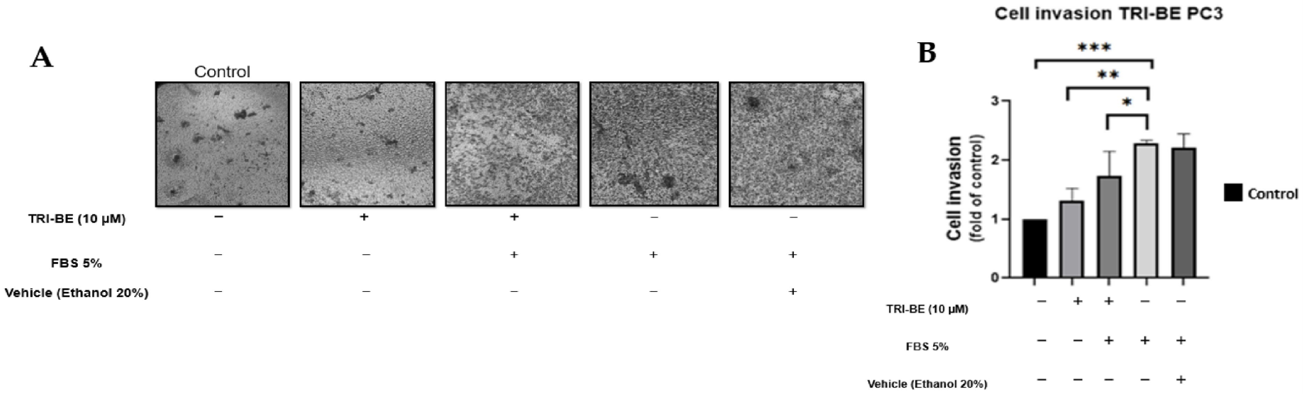Molecules 28 04524 g005
