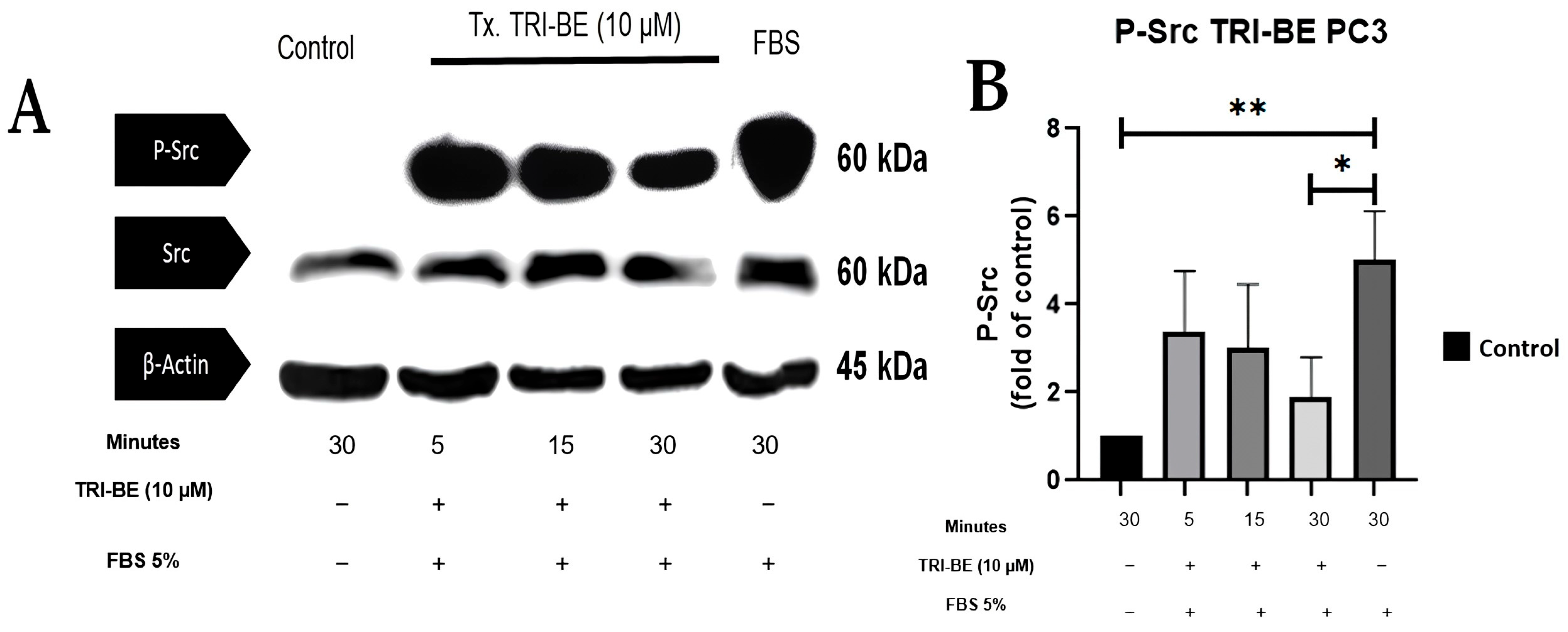 Molecules 28 04524 g008
