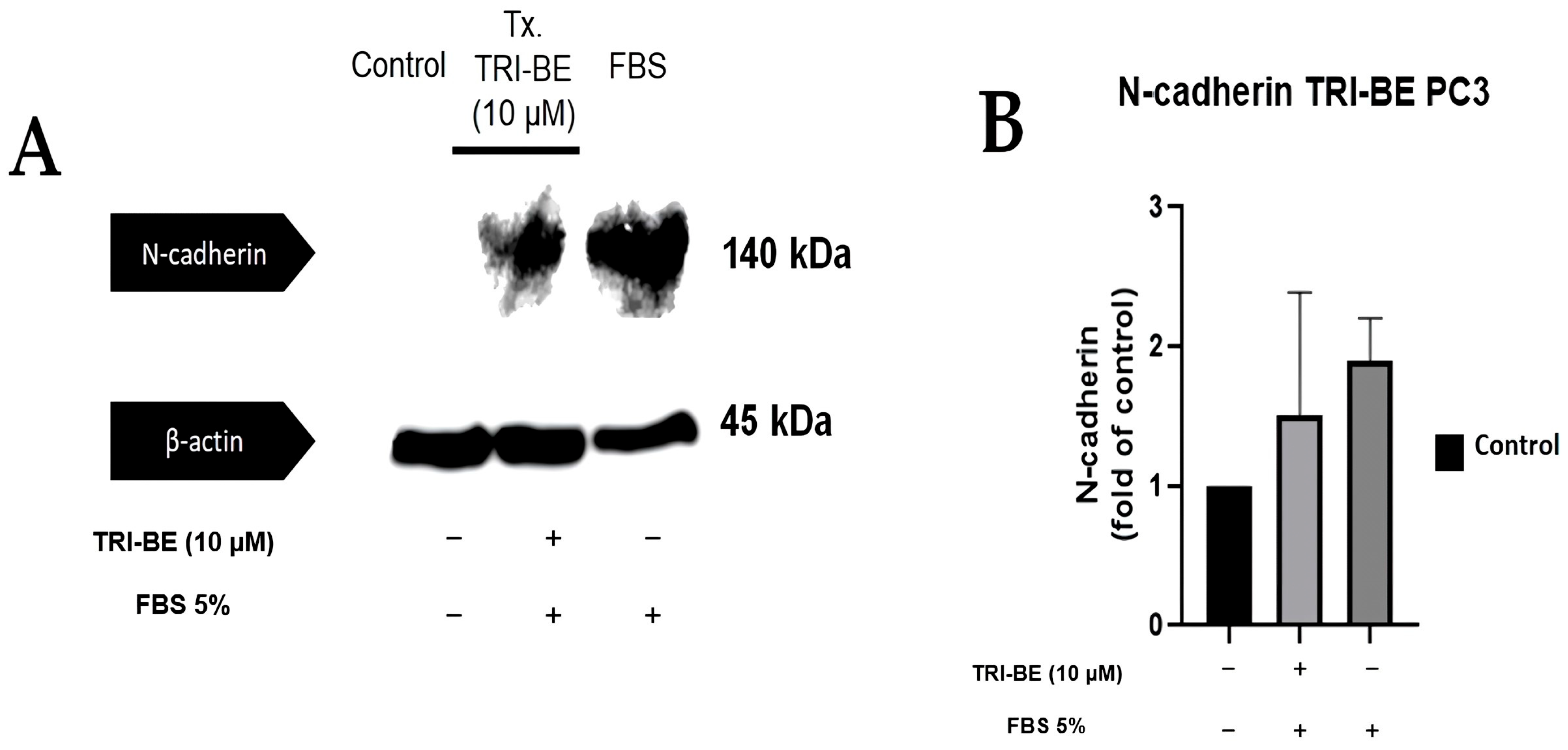 Molecules 28 04524 g010