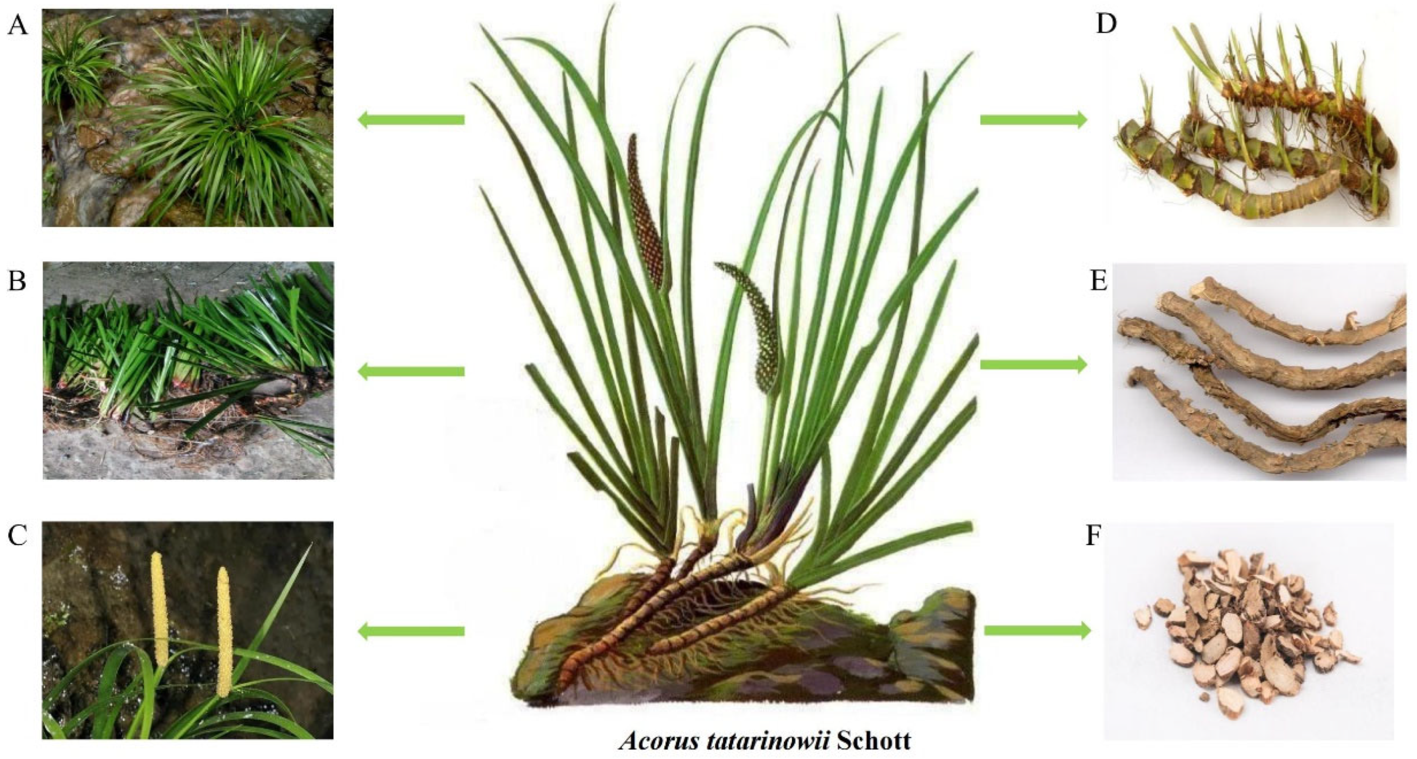 Molecules 28 04525 g001