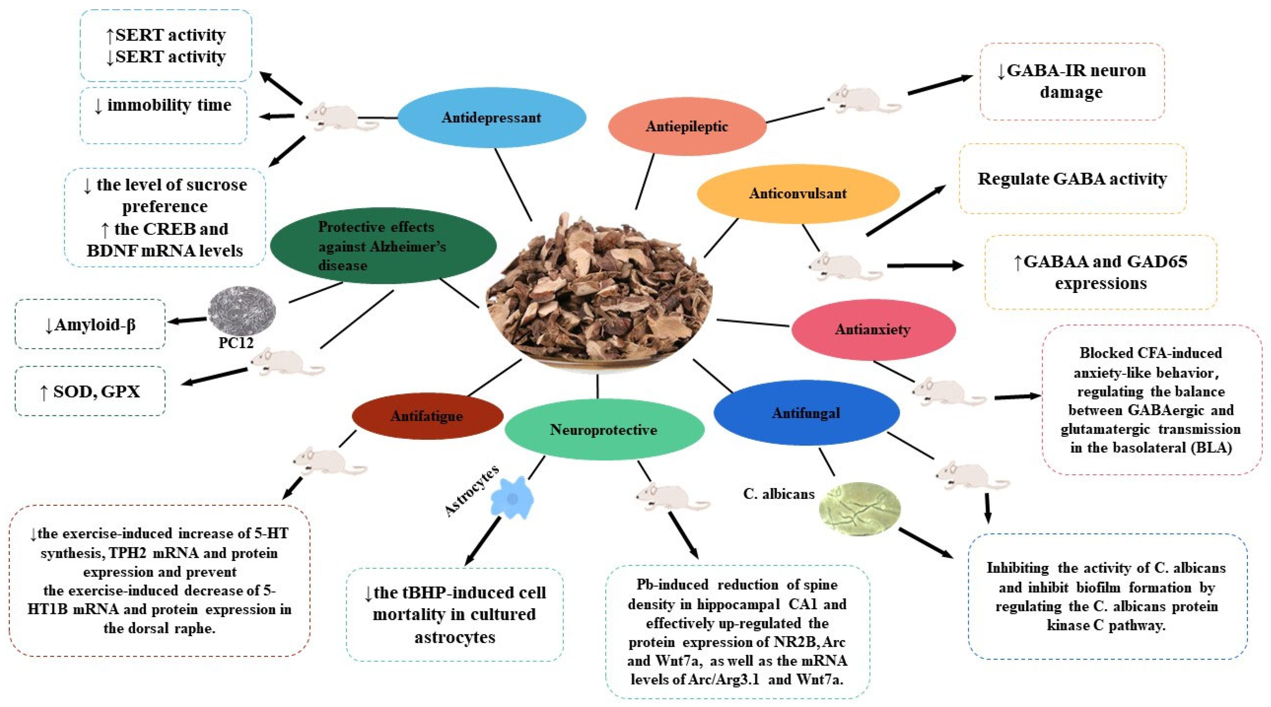 Molecules 28 04525 g009