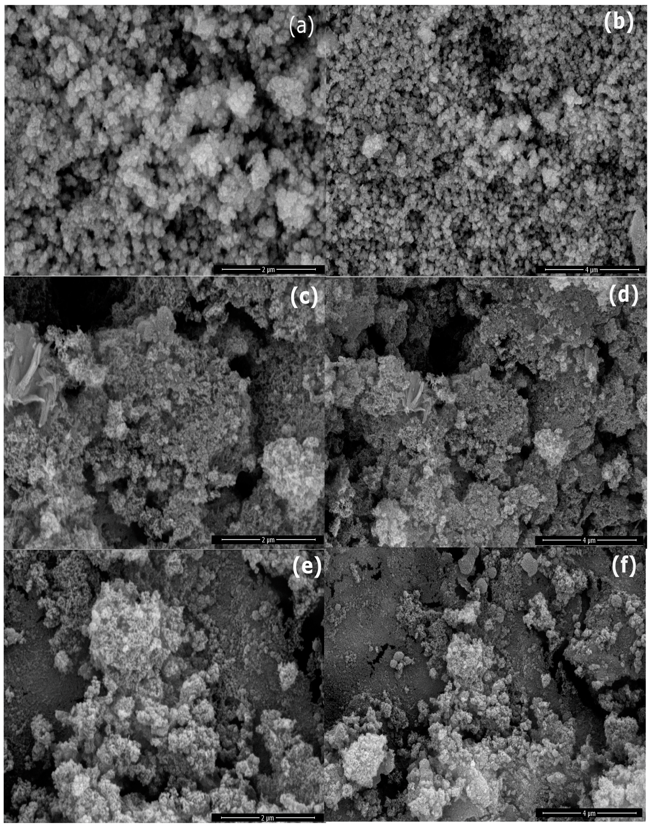 Molecules 28 04526 g003