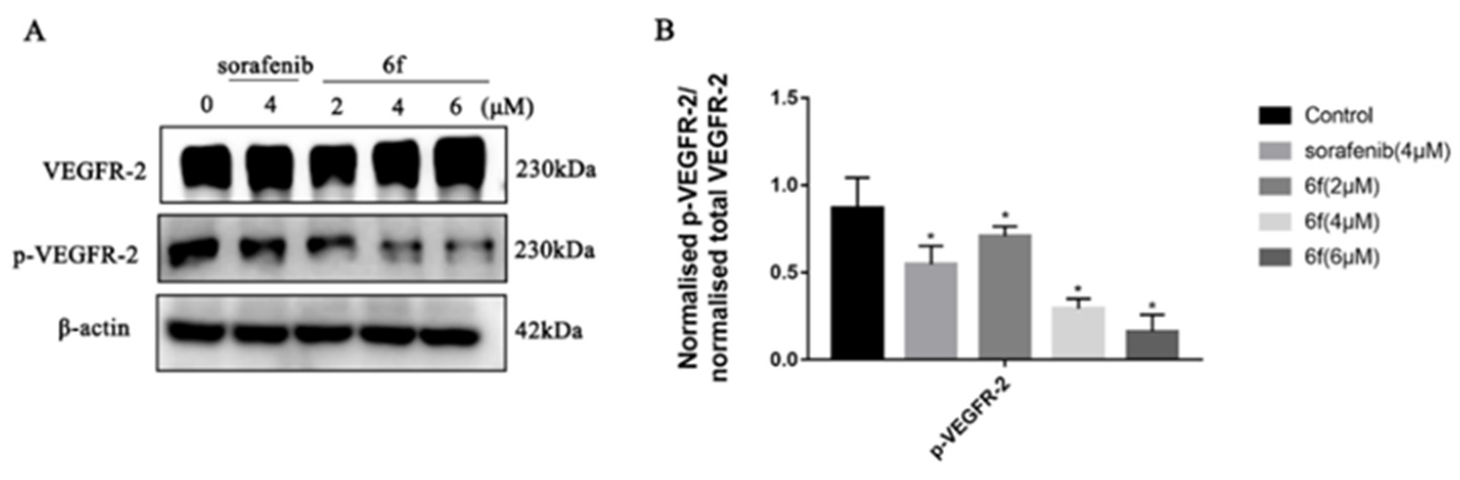 Molecules 28 04537 sch005 Molecules 28 04537 sch005