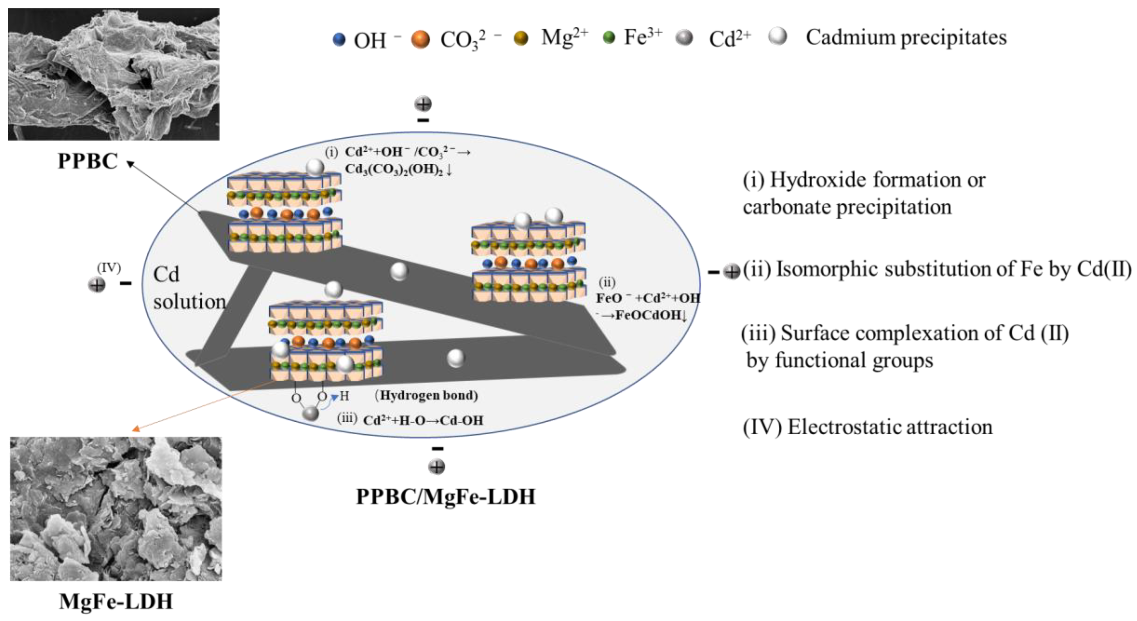 Molecules | Free Full-Text | Efficient Adsorption Capacity of MgFe