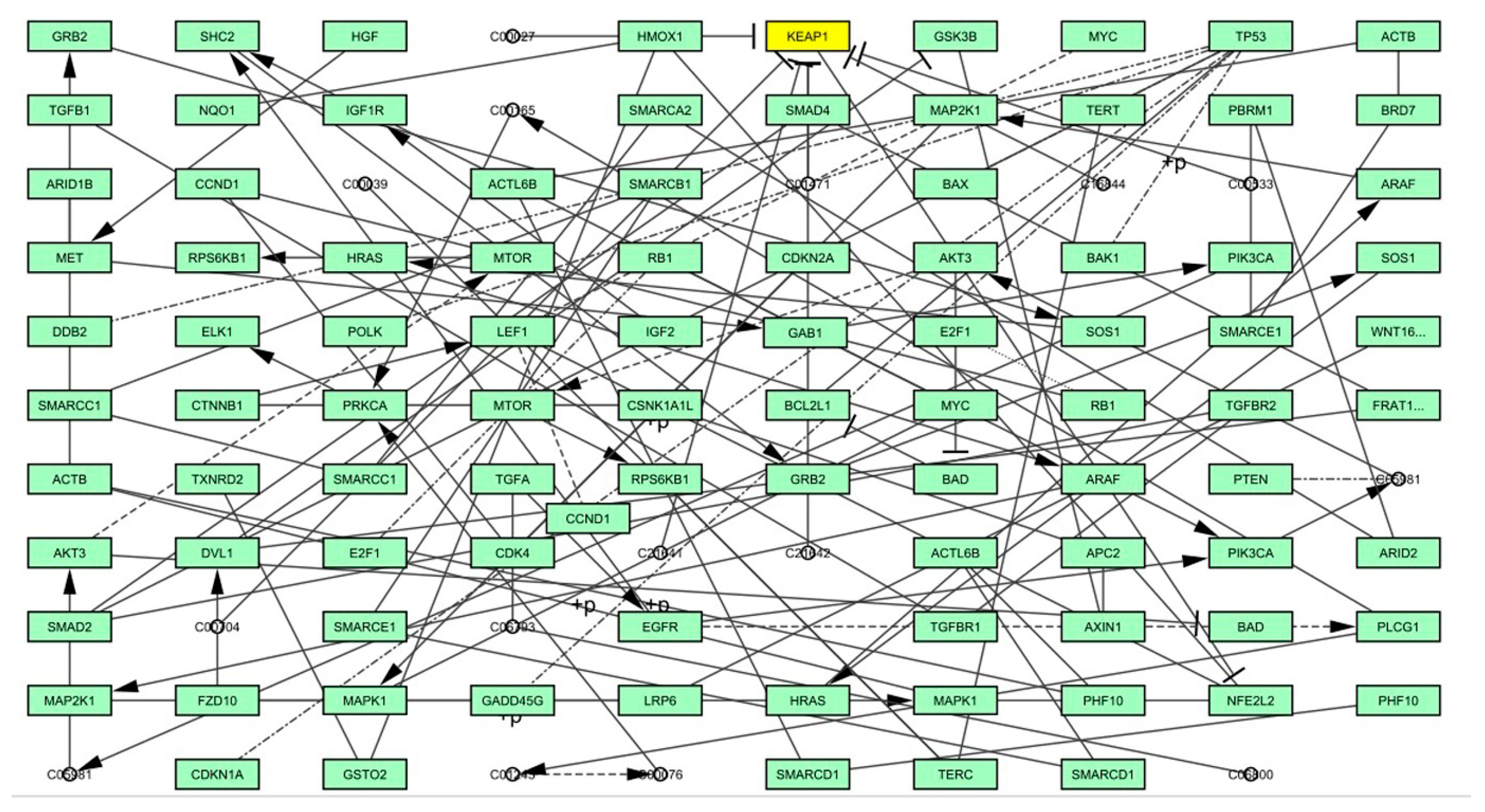 Molecules 28 04541 g014 Molecules 28 04541 g014