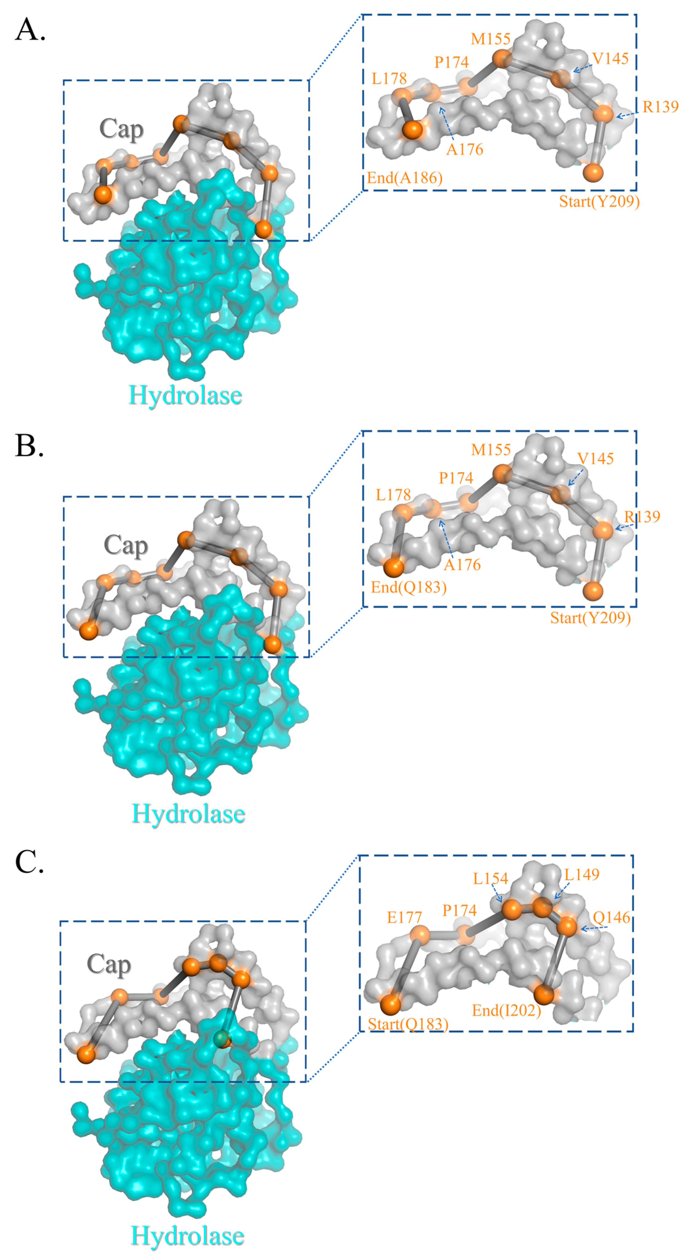 Molecules 28 04545 g003 Molecules 28 04545 g003