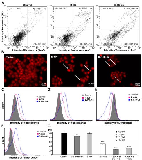 PDF) Carboranyl Analogues of Ketoprofen with Cytostatic Activity against  Human Melanoma and Colon Cancer Cell Lines