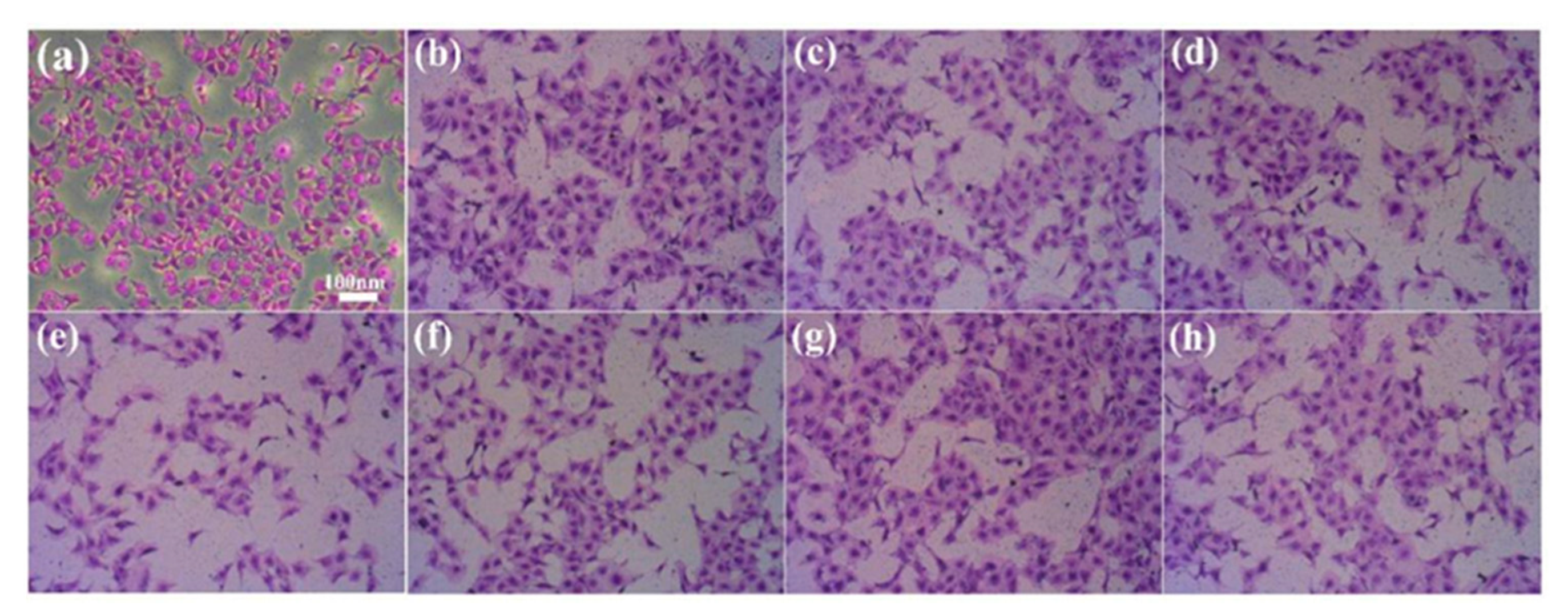 Molecules 28 04570 g007 Molecules 28 04570 g007