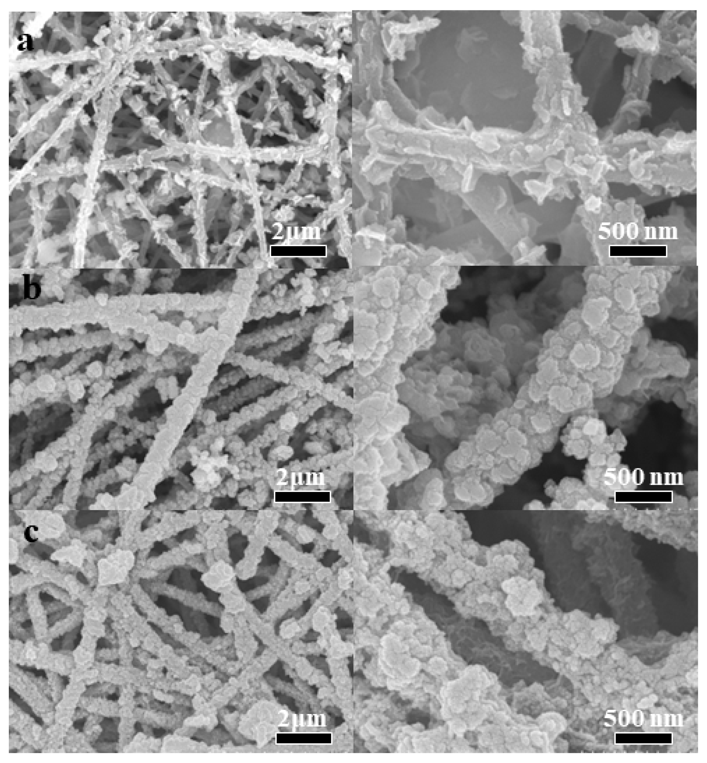 Molecules 28 04571 g005 Molecules 28 04571 g005