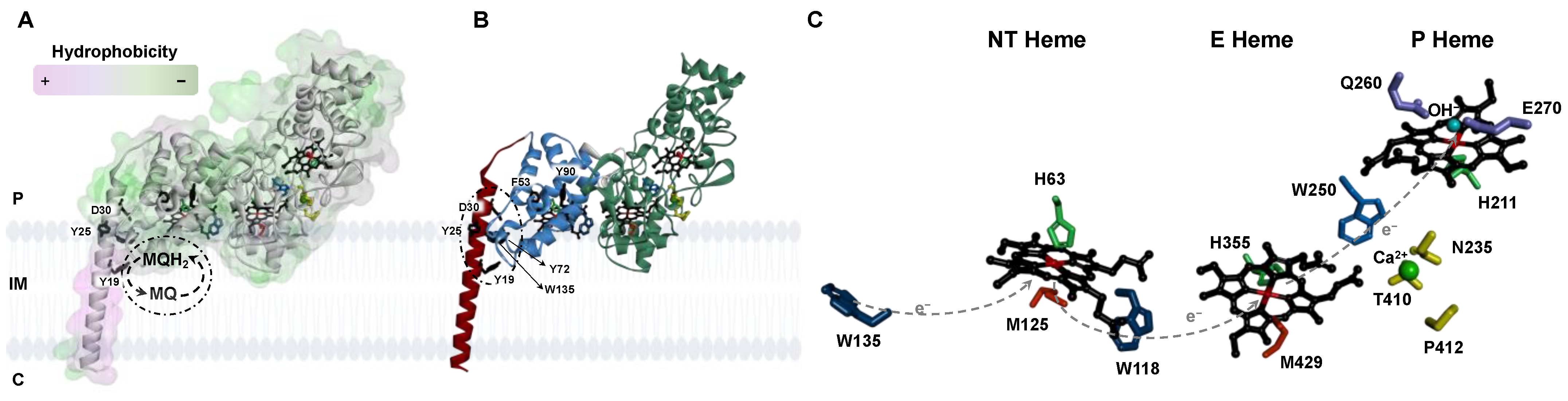 Molecules 28 04598 g001