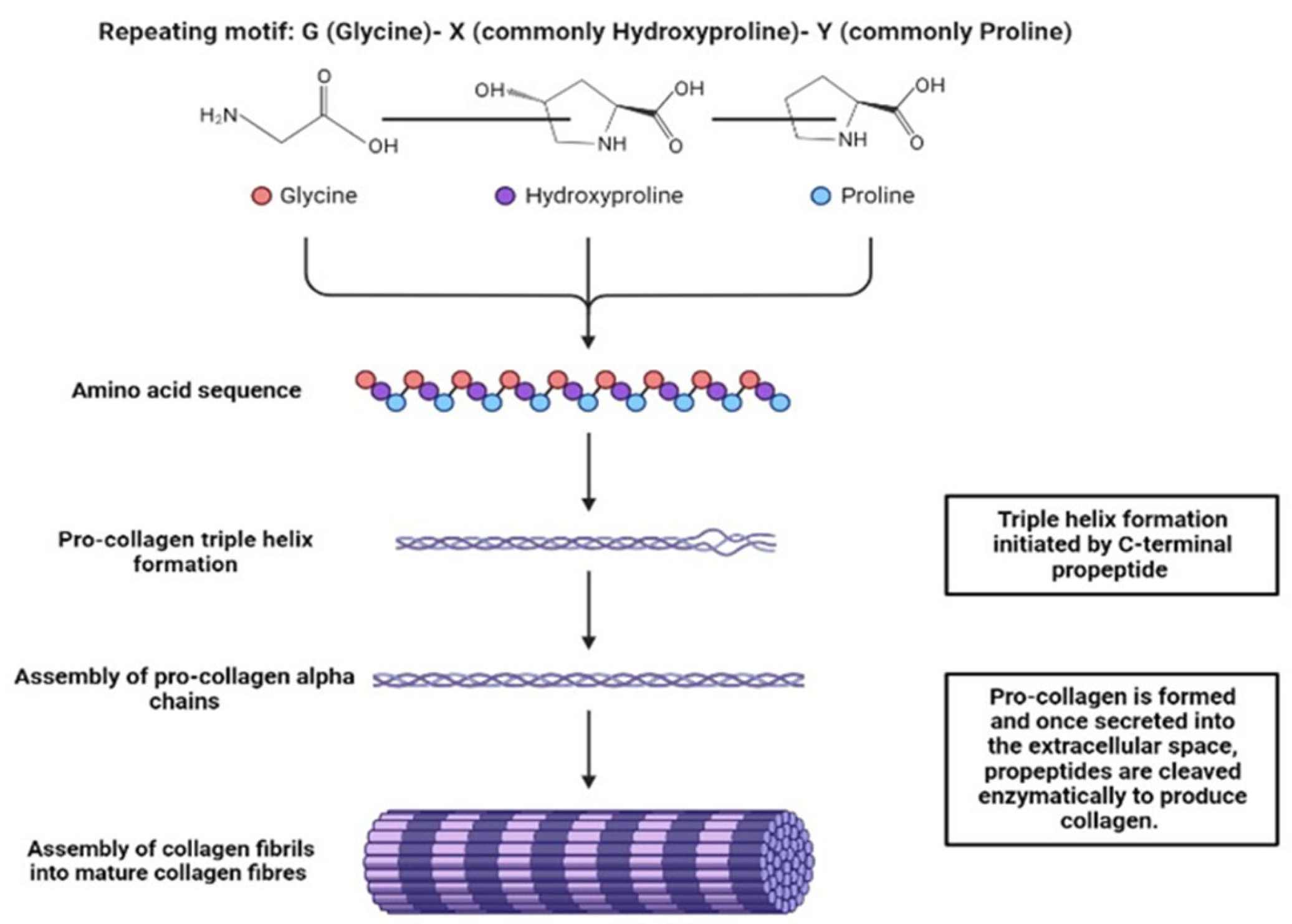 Molecules 28 04616 g001