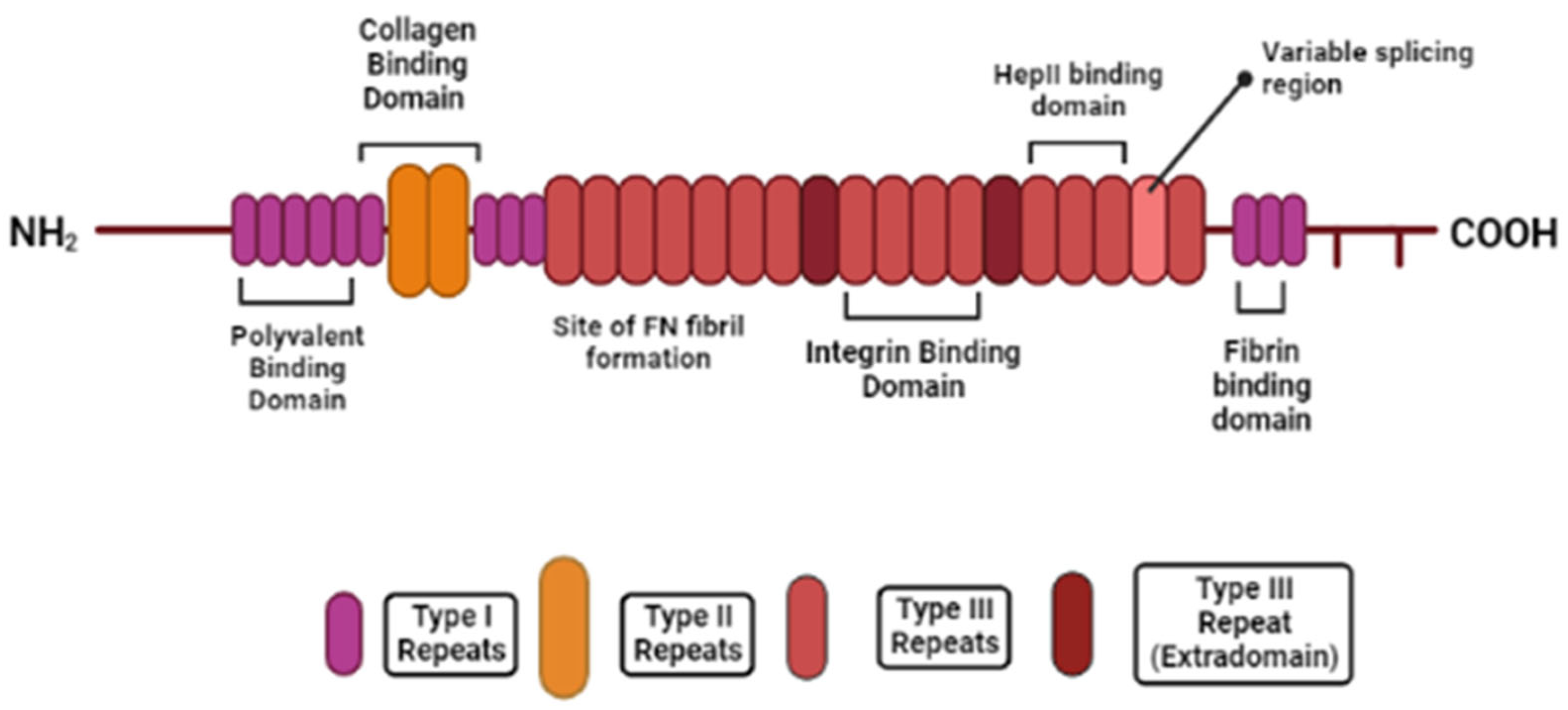Molecules 28 04616 g002