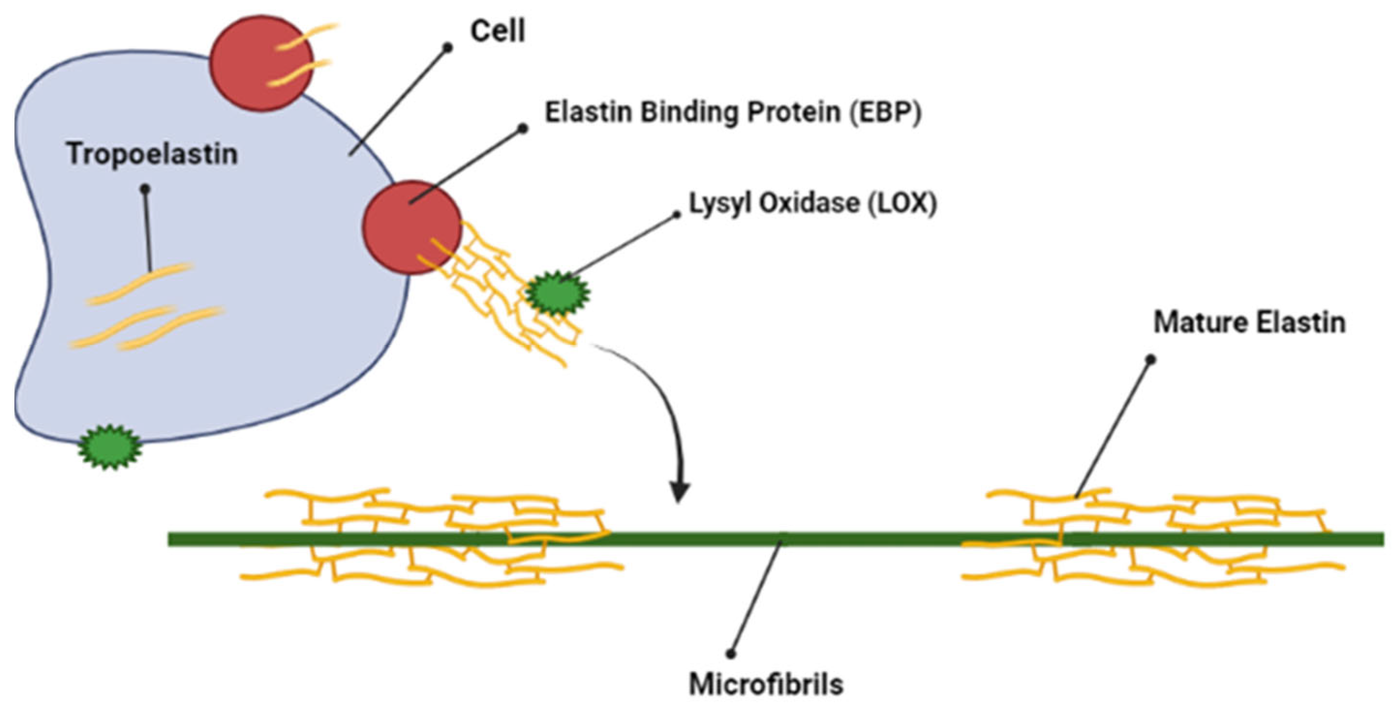 Molecules 28 04616 g004
