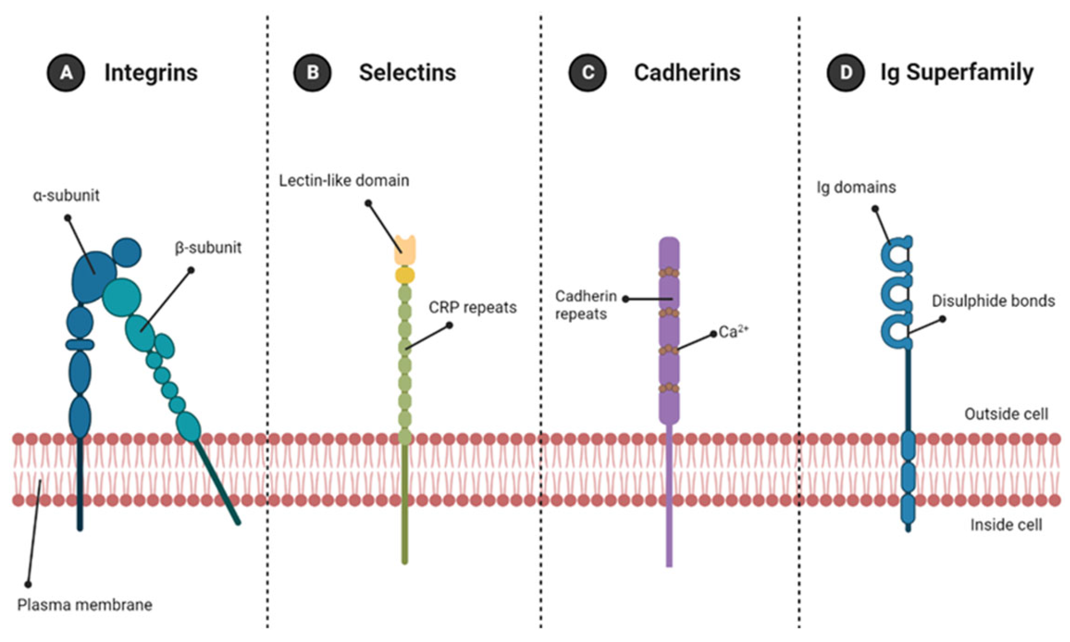 Molecules 28 04616 g005