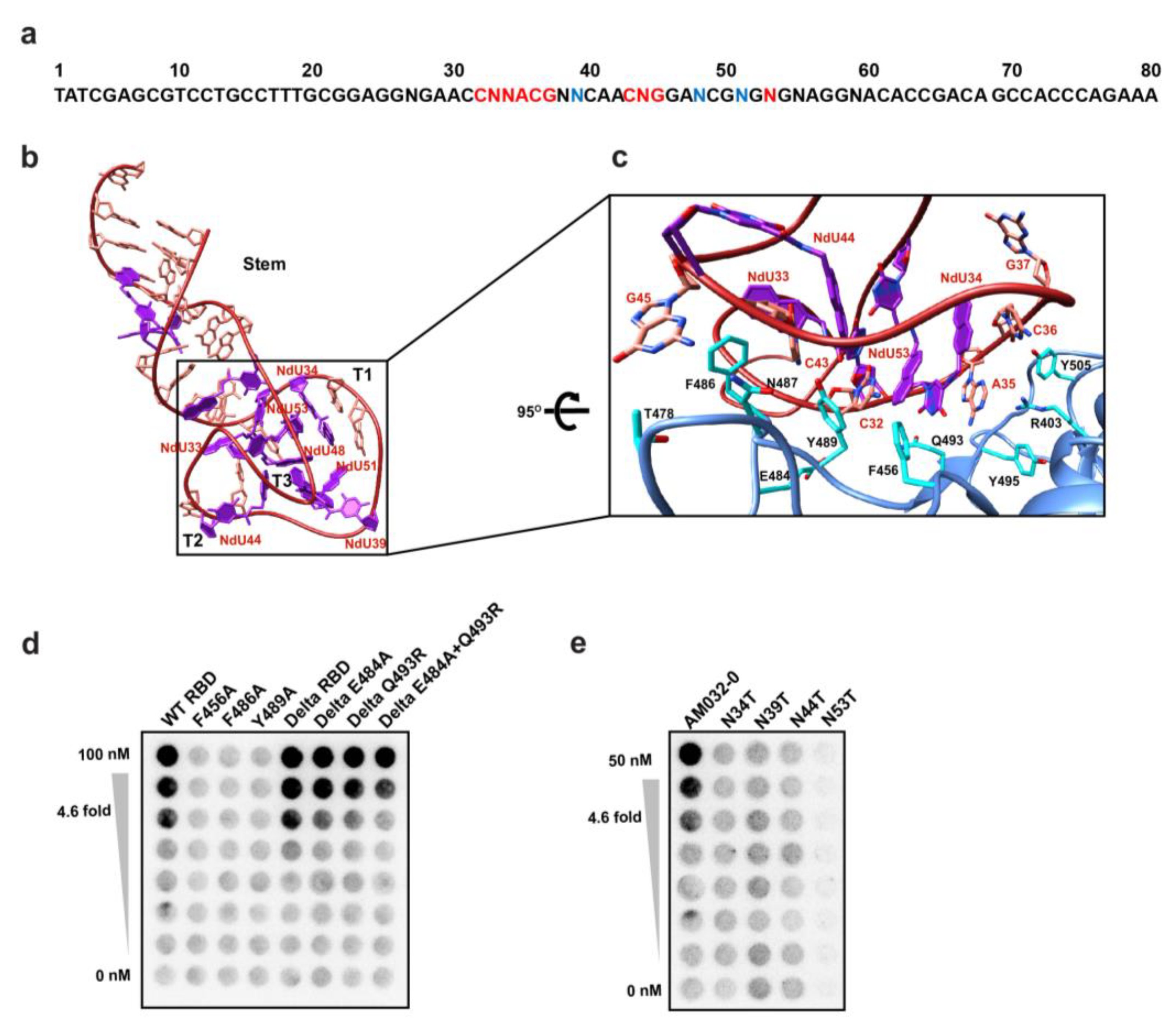 Molecules 28 04645 g003 Molecules 28 04645 g003