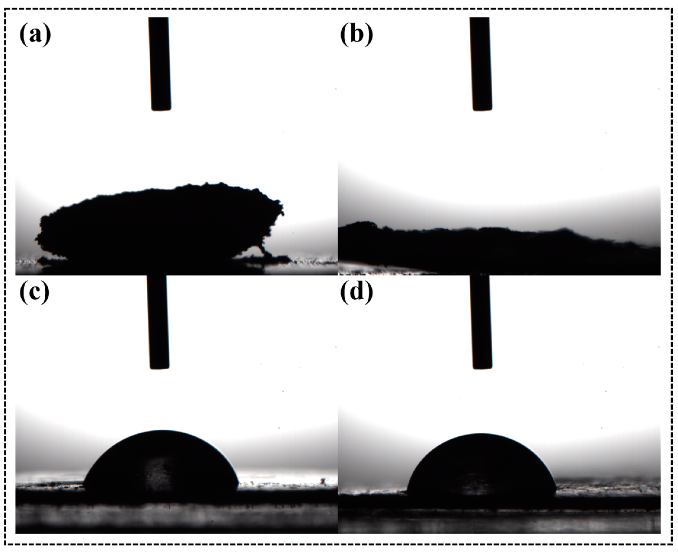Molecules 28 04667 g002