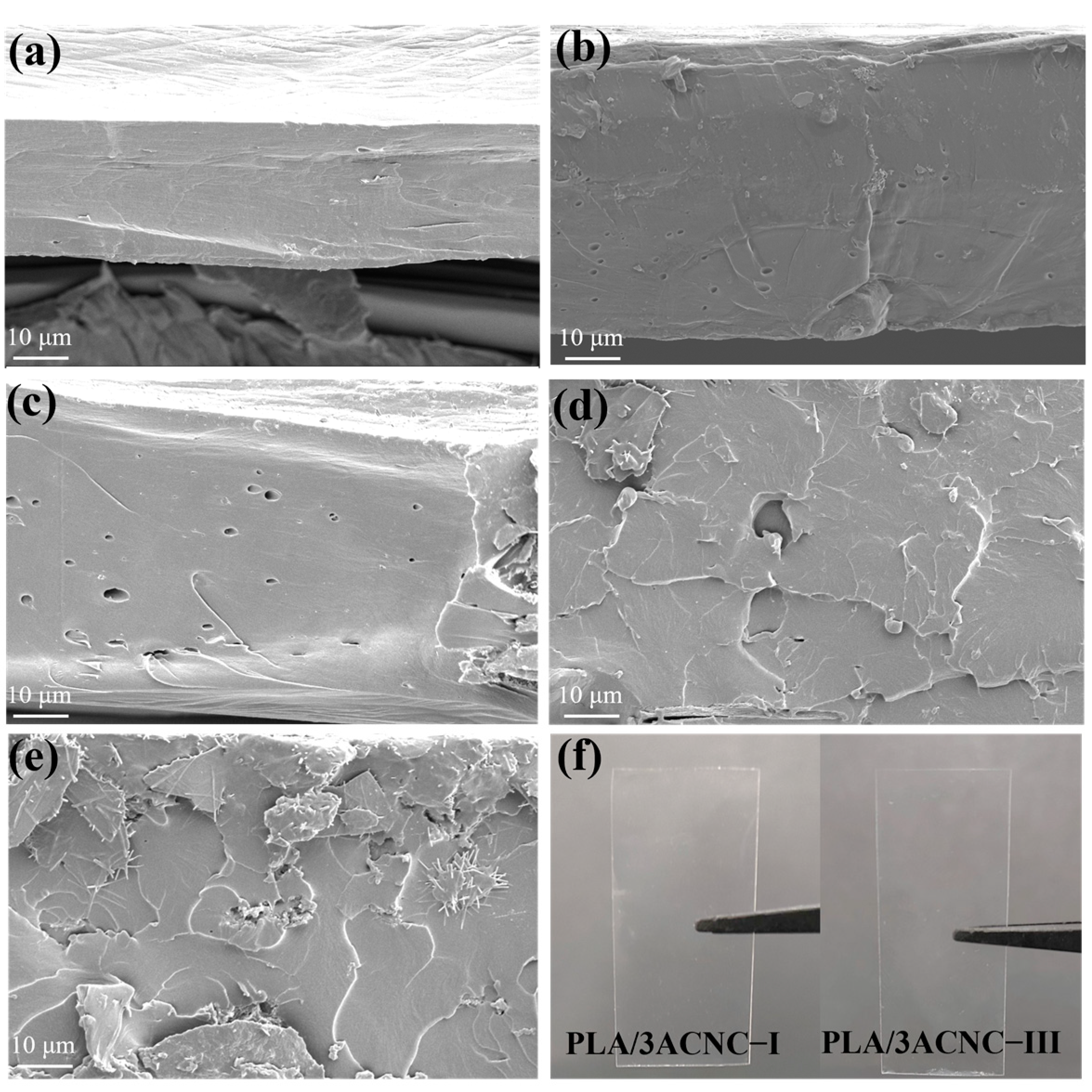 Molecules 28 04667 g006