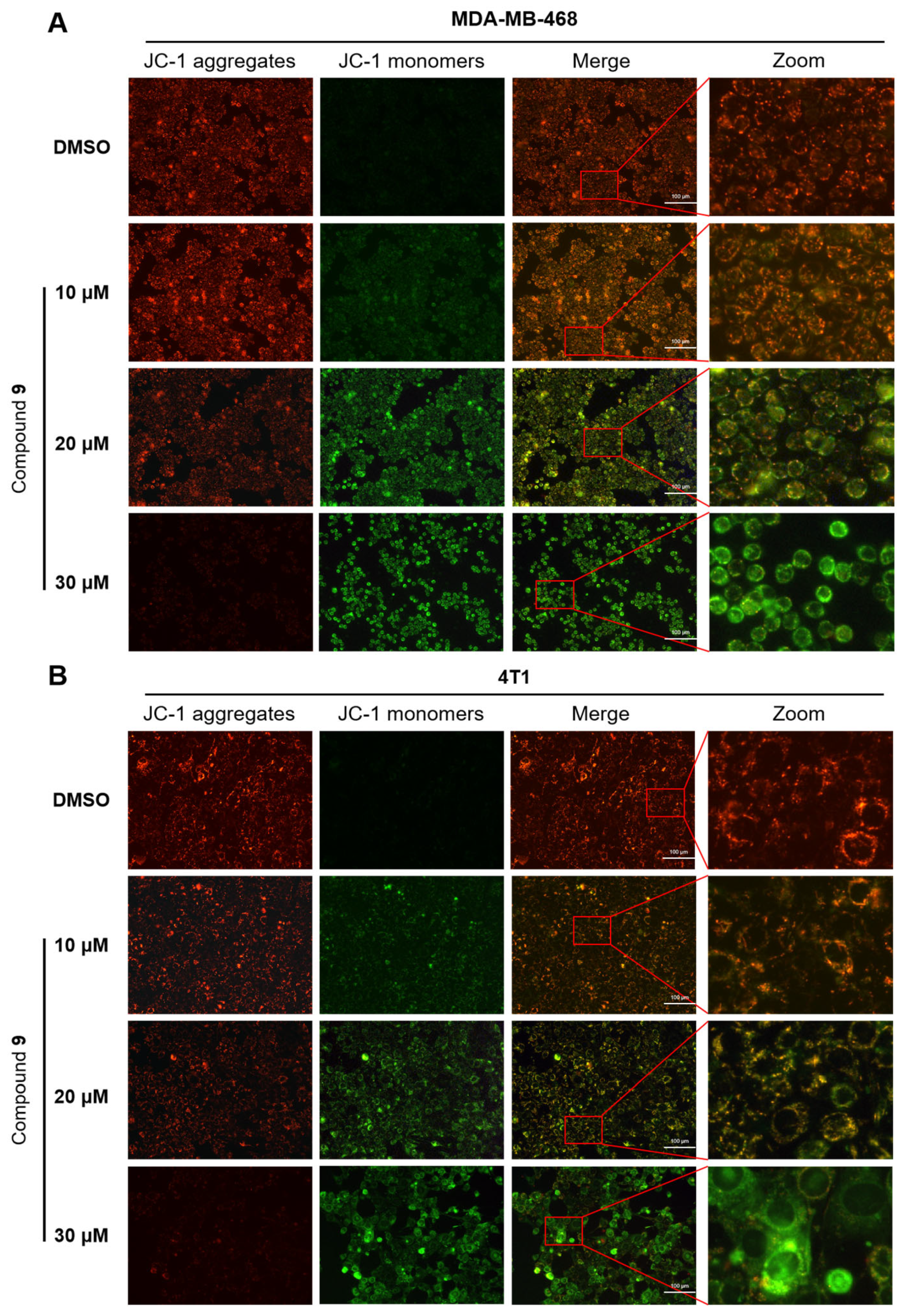 Molecules 28 04715 g006