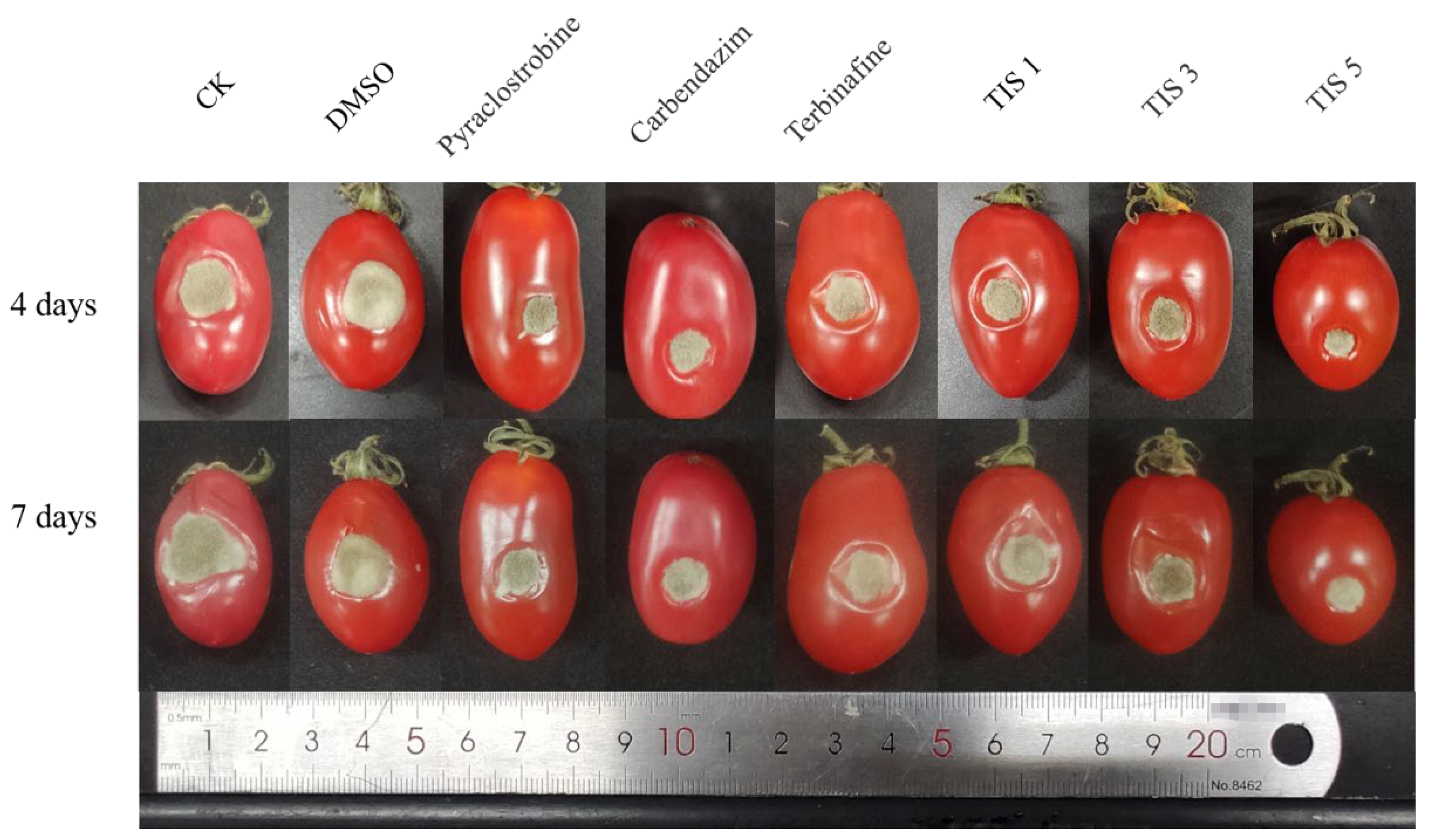 Molecules 28 04722 g003
