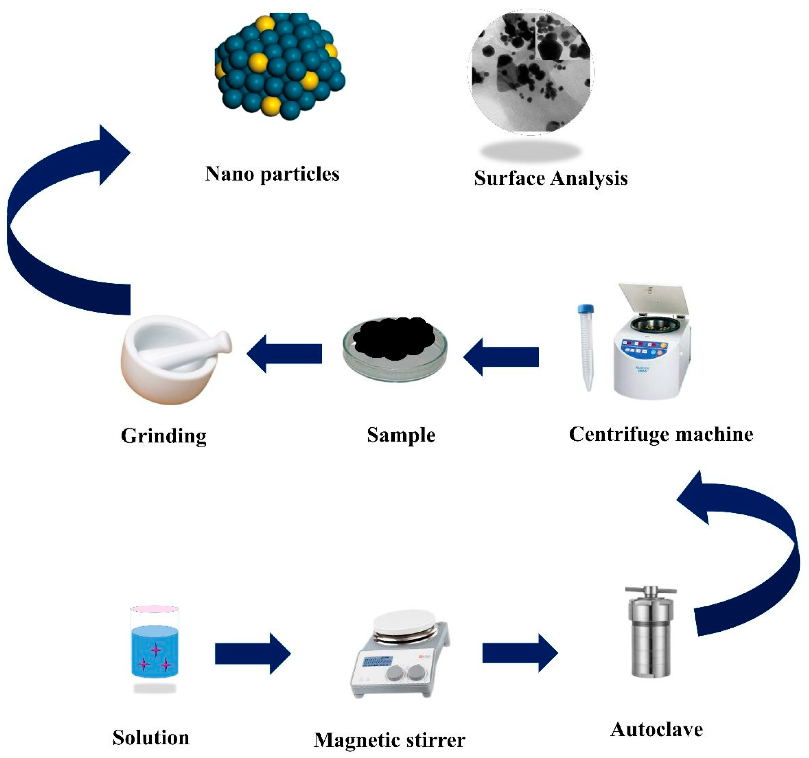 Molecules 28 04737 g001