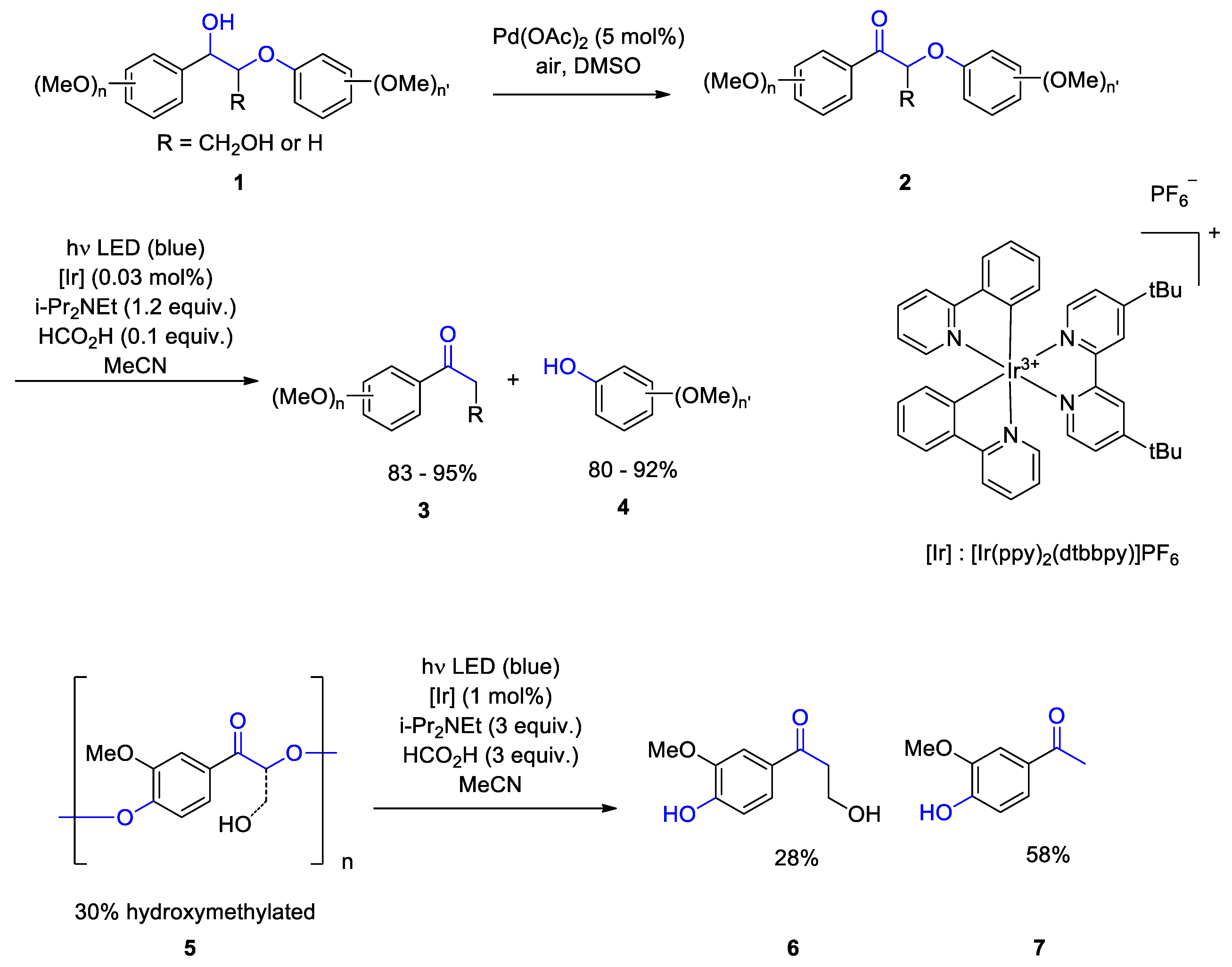 Molecules 28 04746 sch001 Molecules 28 04746 sch001