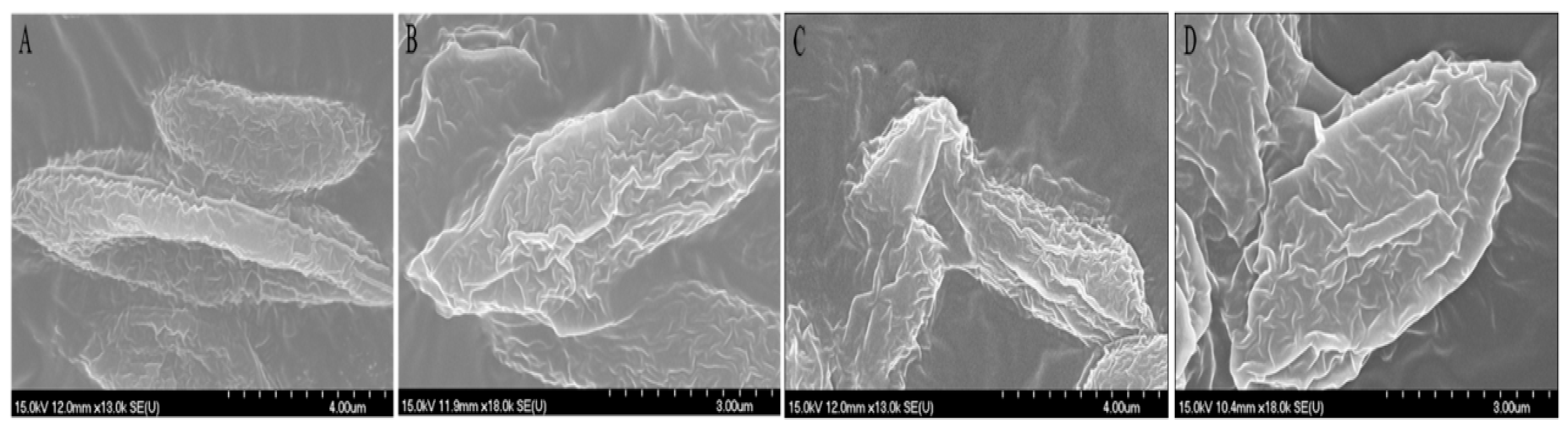 Molecules 28 04774 g007 Molecules 28 04774 g007