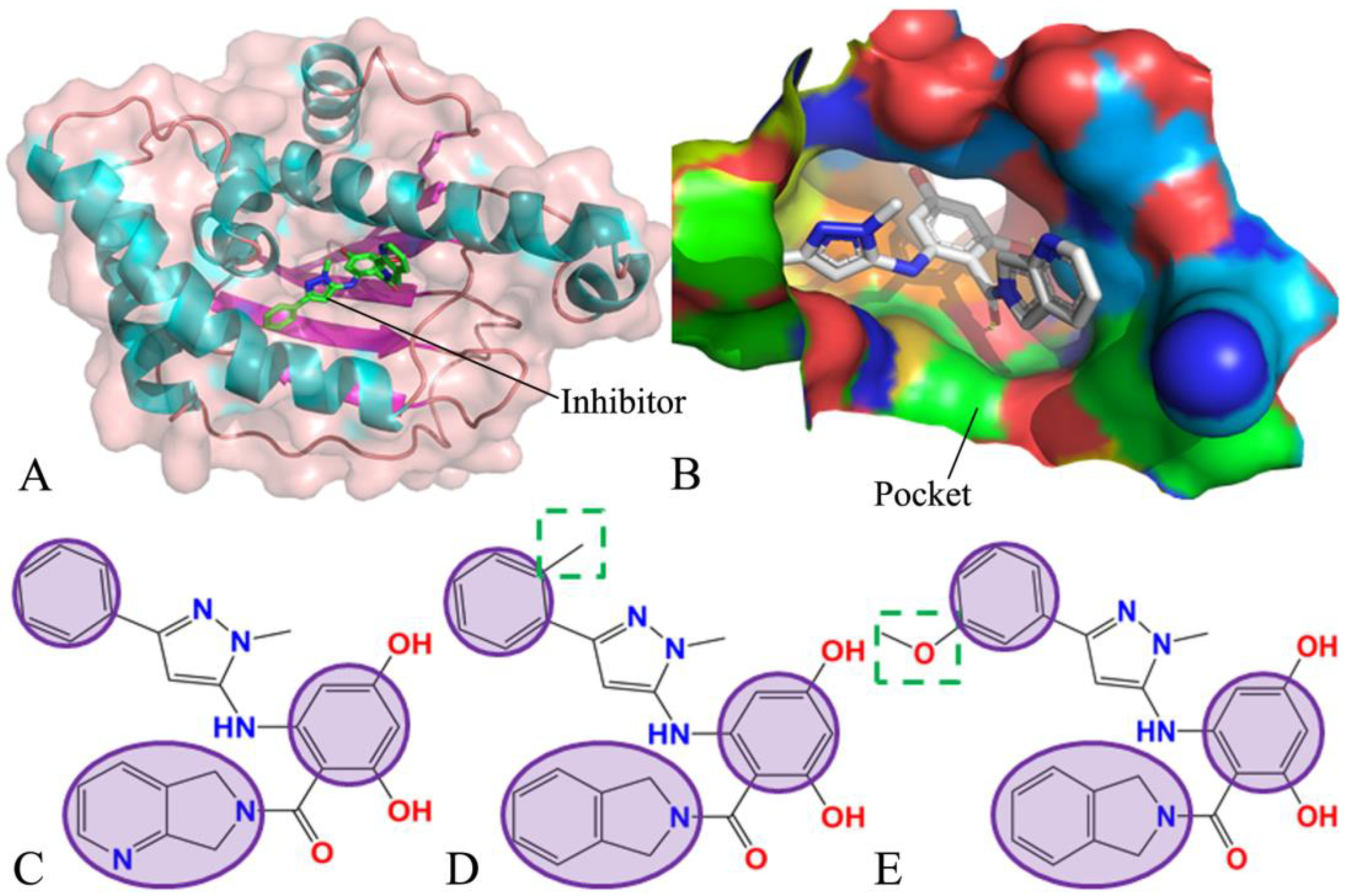 Decoding the Identification Mechanism of an SAM-III Riboswitch on Ligands  through Multiple Independent Gaussian-Accelerated Molecular Dynamics  Simulations